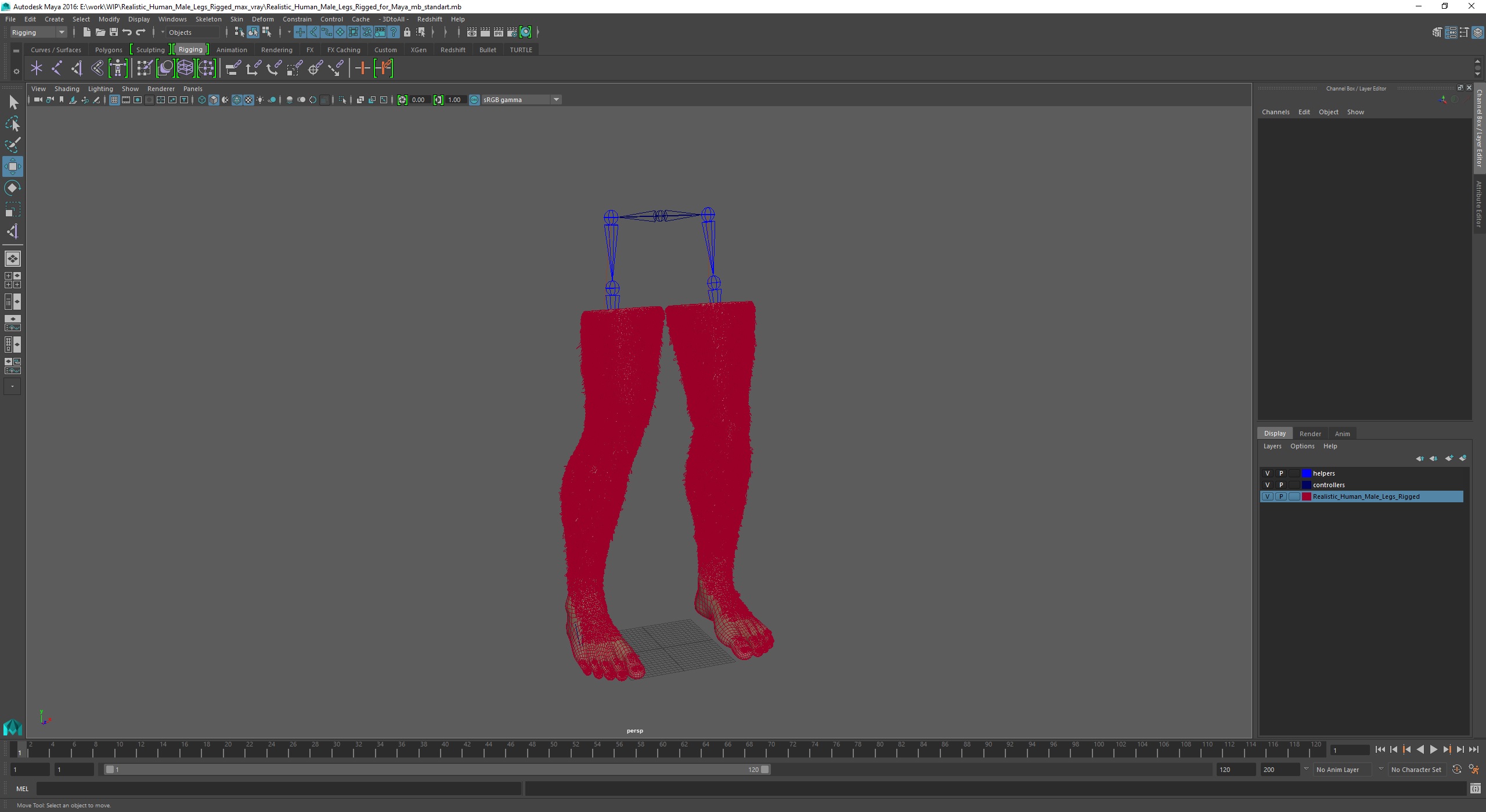 3D Realistic Human Male Legs Rigged for Maya