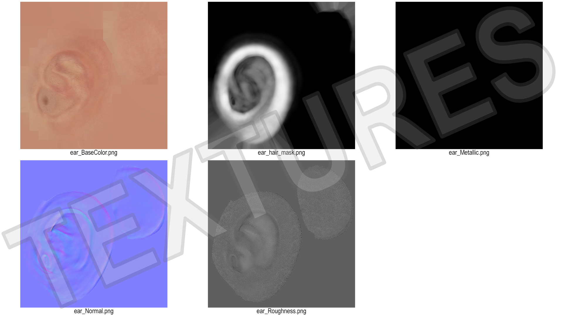 3D Realistic Human Ear Left Fur model