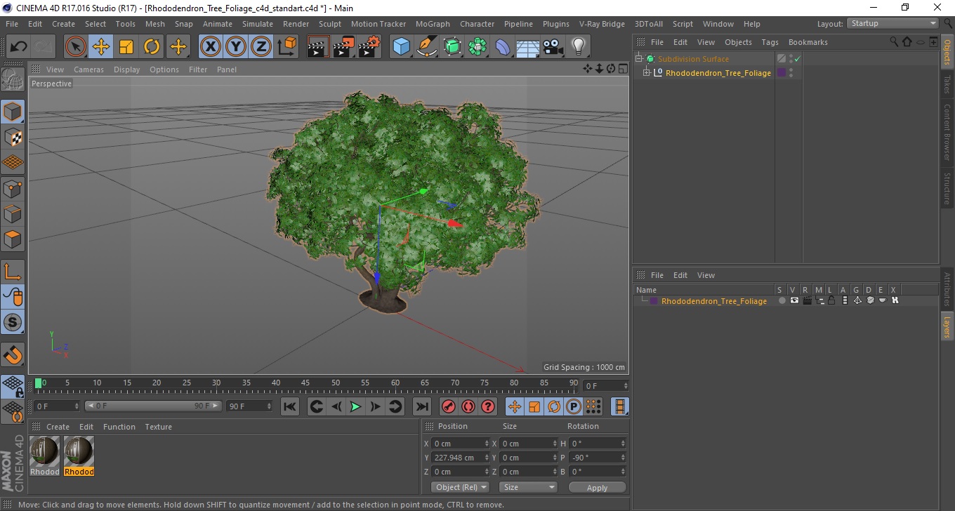3D model Rhododendron Tree Foliage