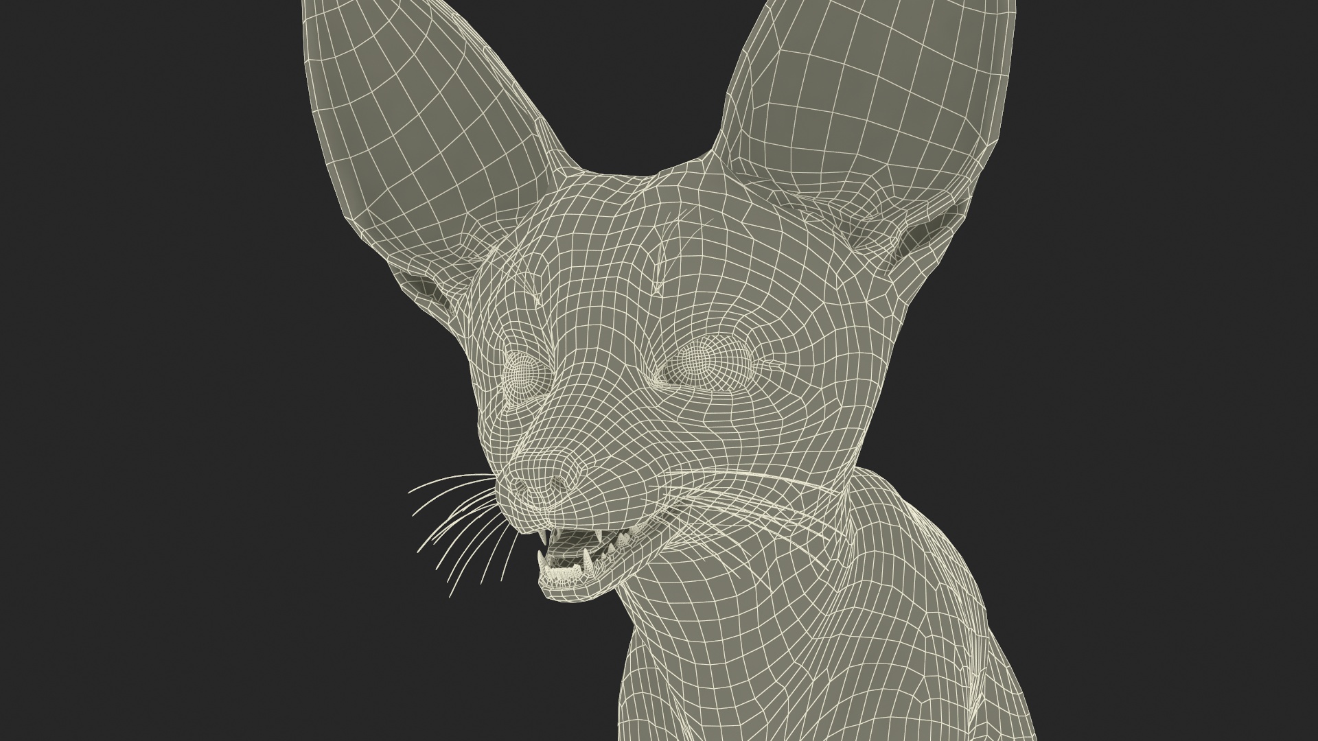 Fennec Fox Fur 3D model