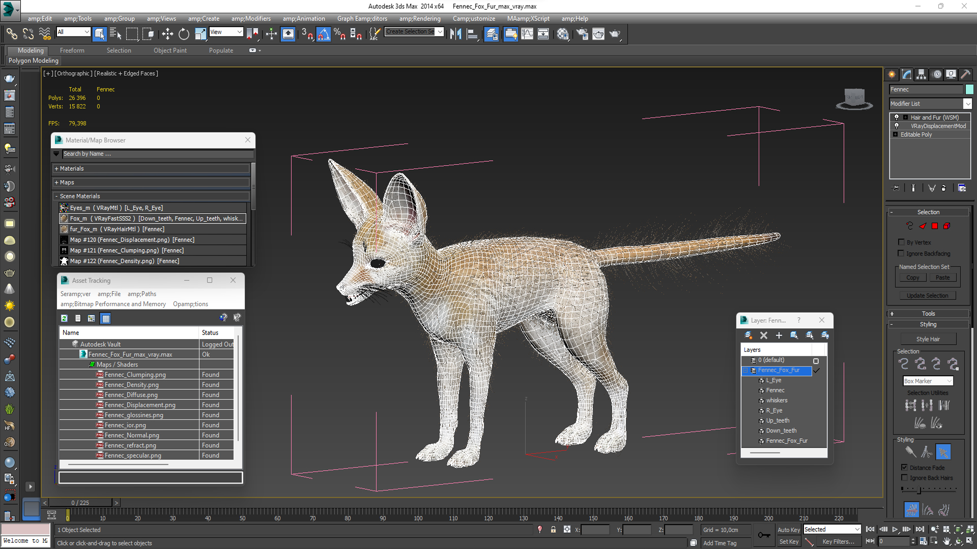 Fennec Fox Fur 3D model