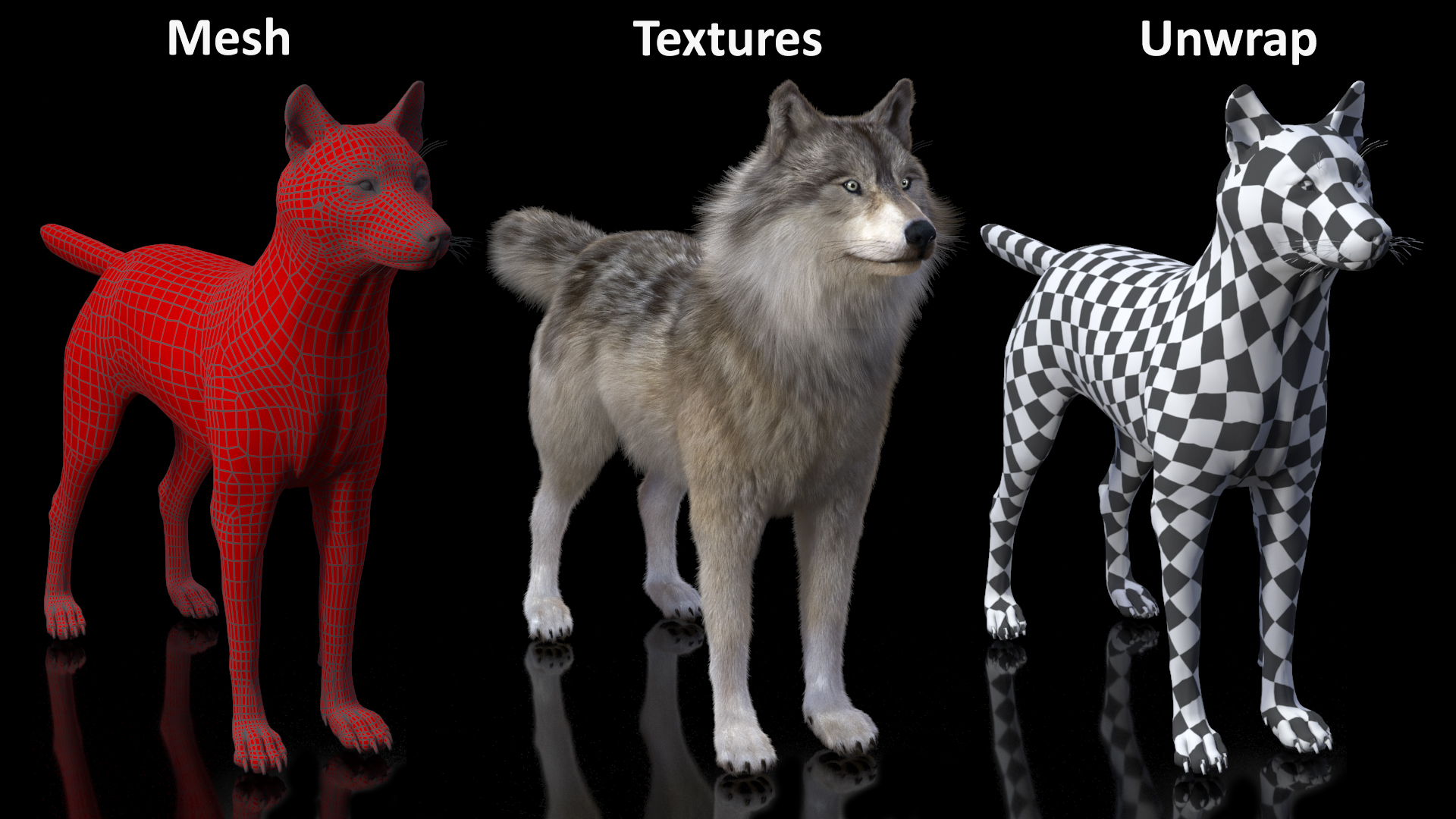 Canis Lupus Fur Rigged 3D
