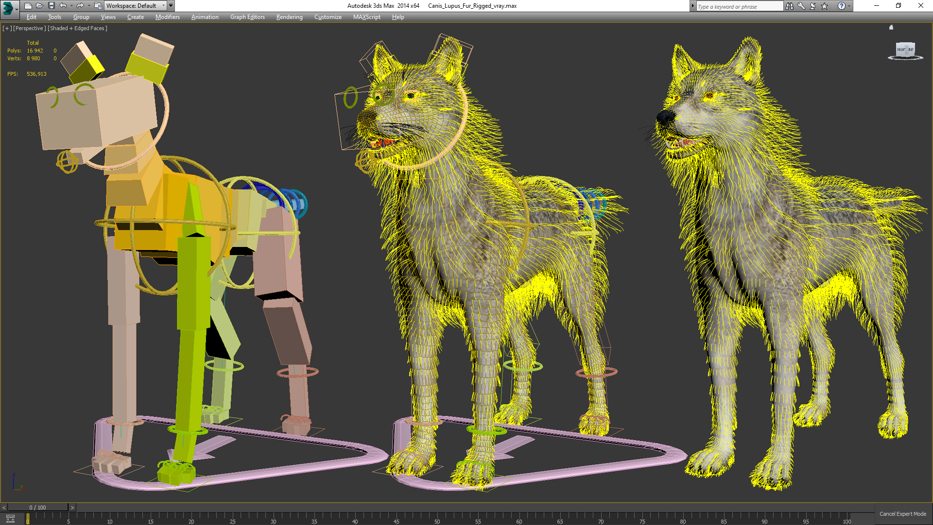 Canis Lupus Fur Rigged 3D