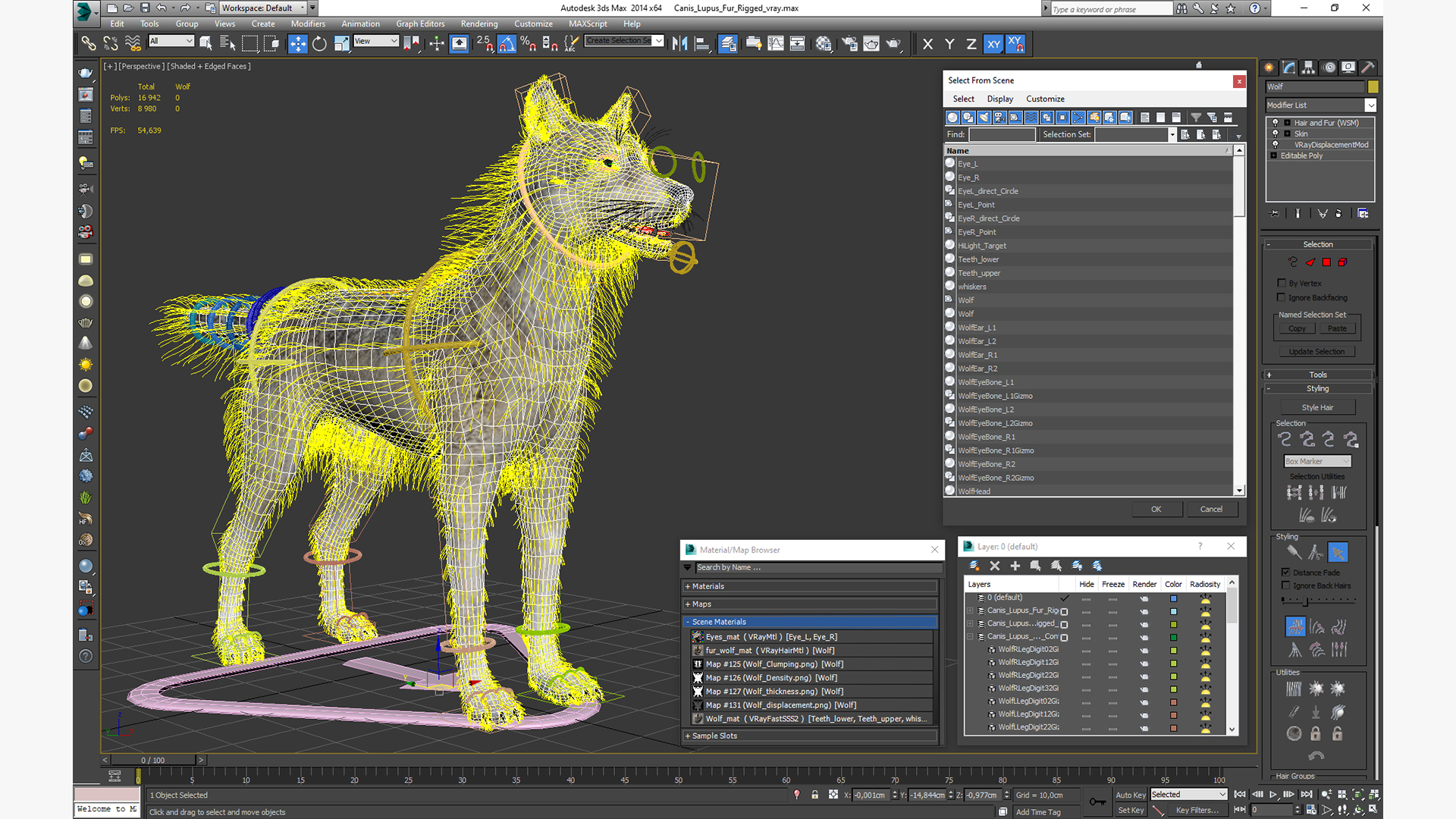 Canis Lupus Fur Rigged 3D
