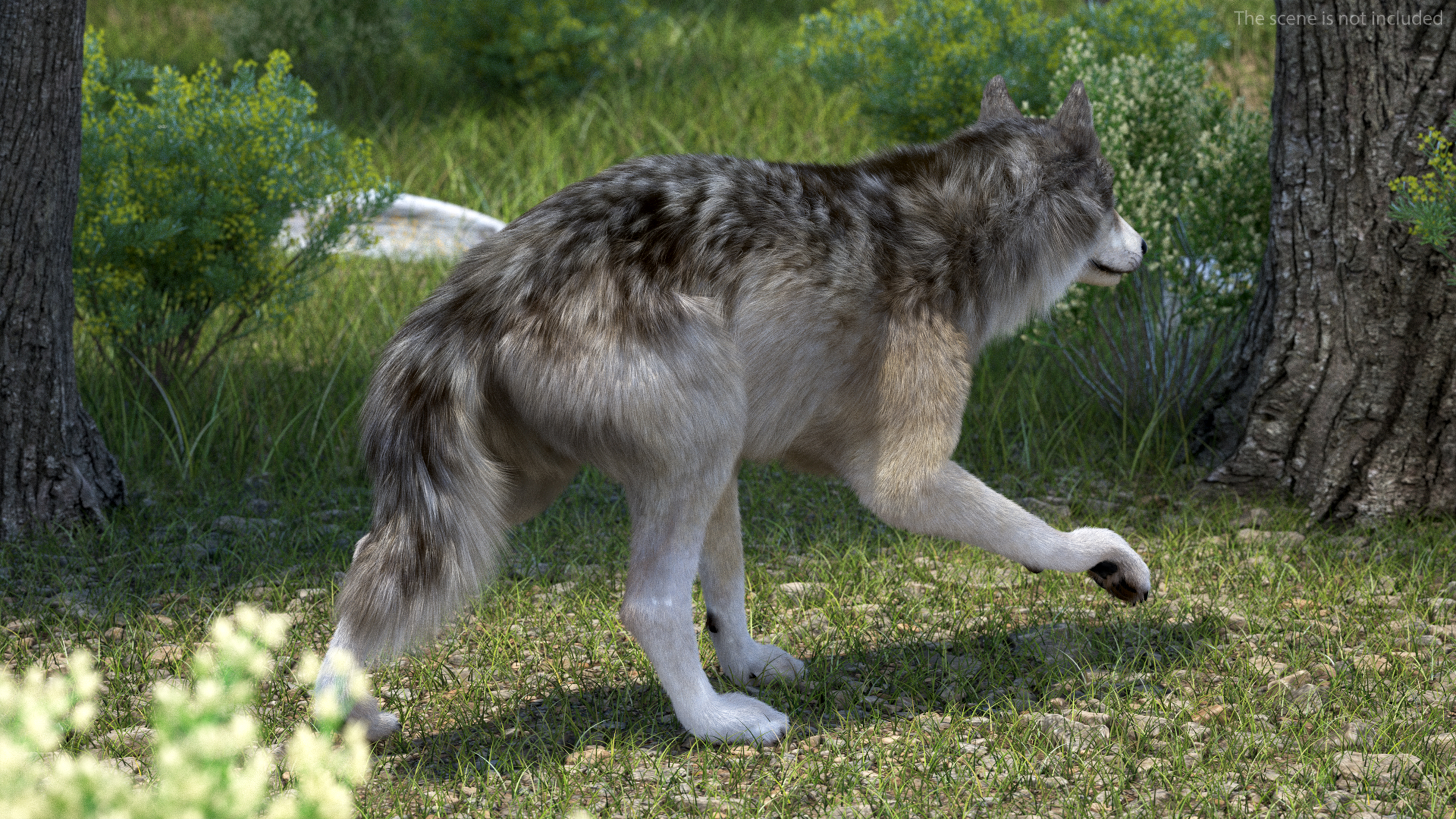 Canis Lupus Fur Rigged 3D