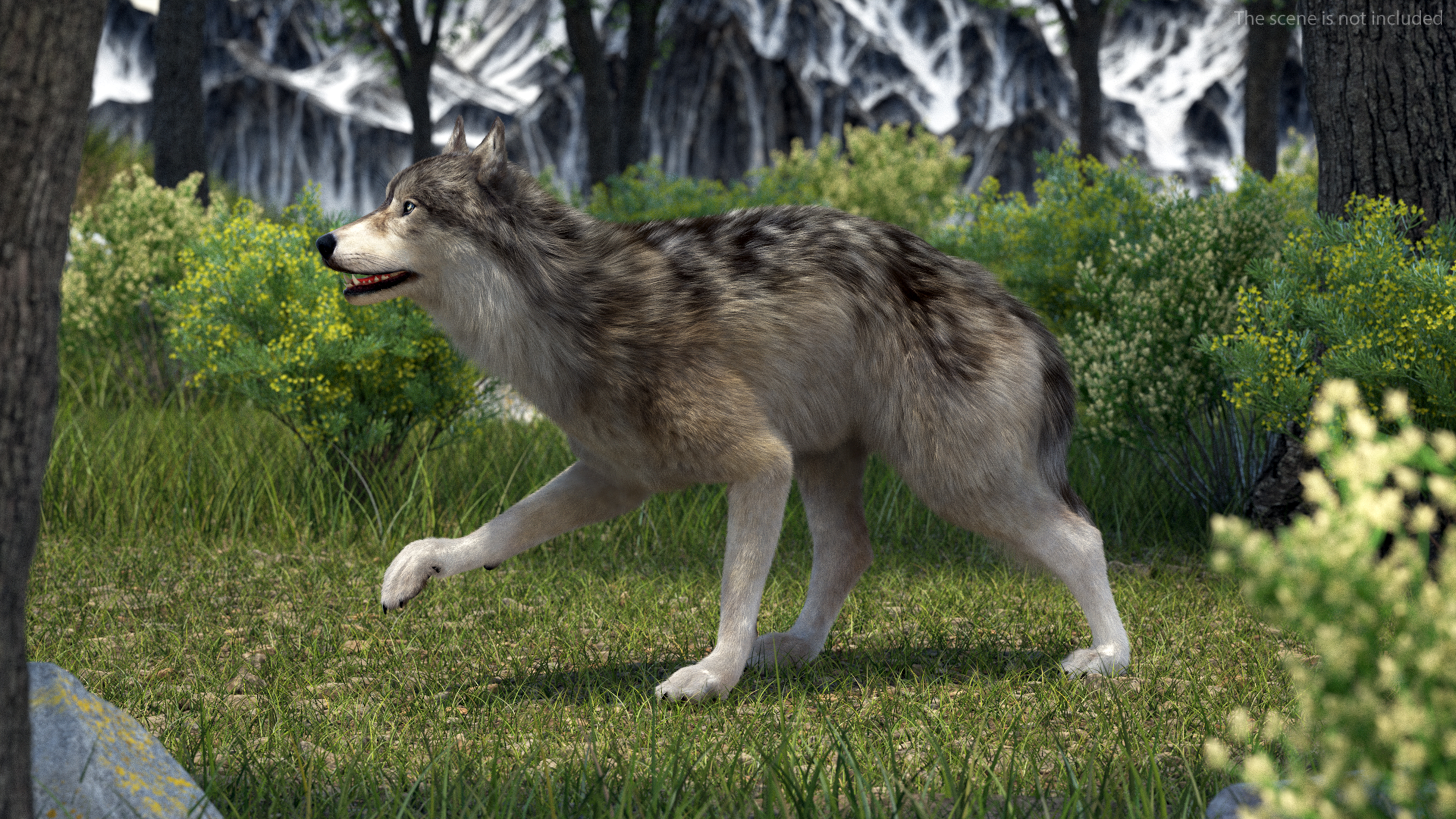 Canis Lupus Fur Rigged 3D