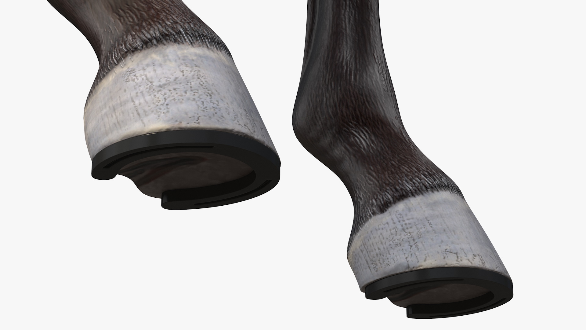 3D model Team of Four Leather Harness Rigged