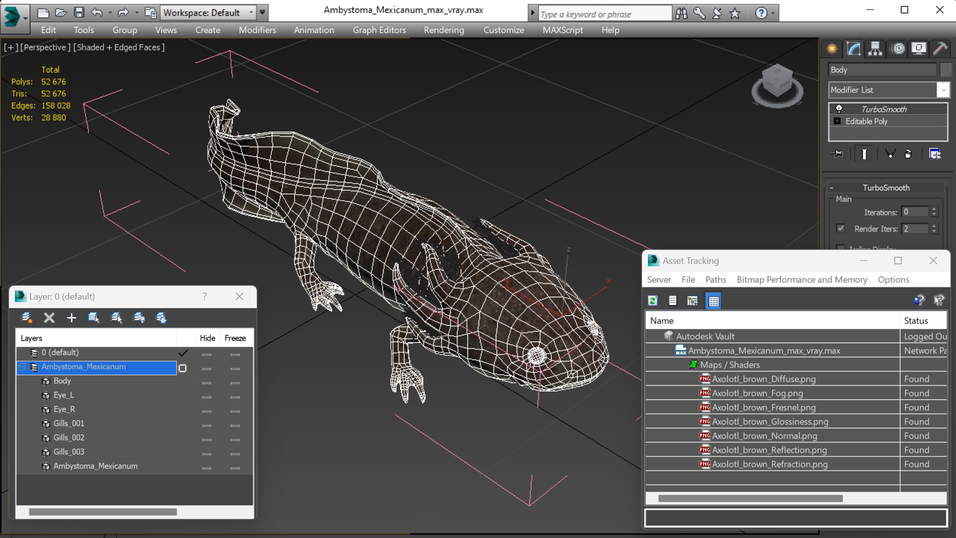 Ambystoma Mexicanum 3D model
