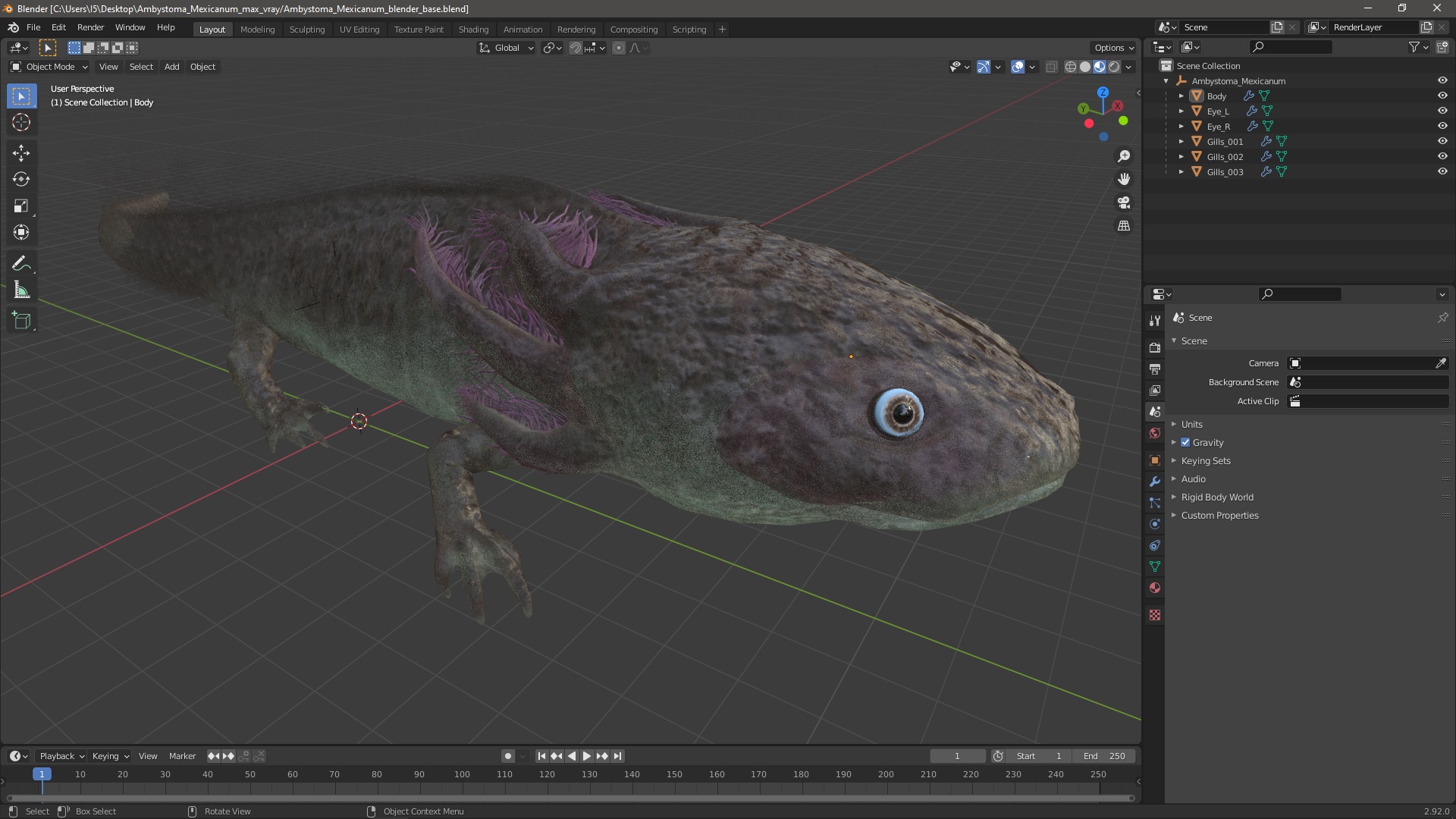 Ambystoma Mexicanum 3D model