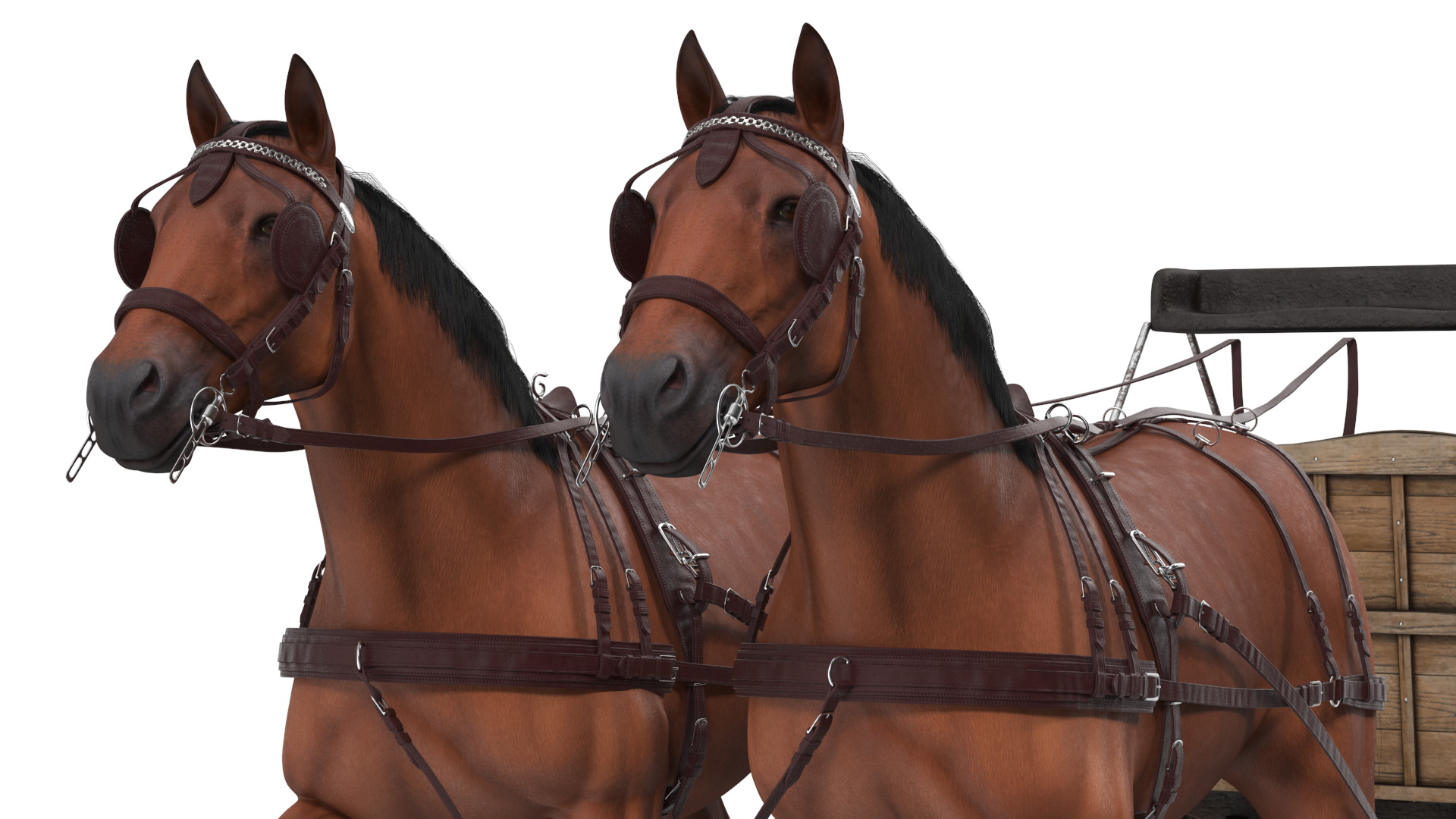 3D Open Wagon with Horses fur