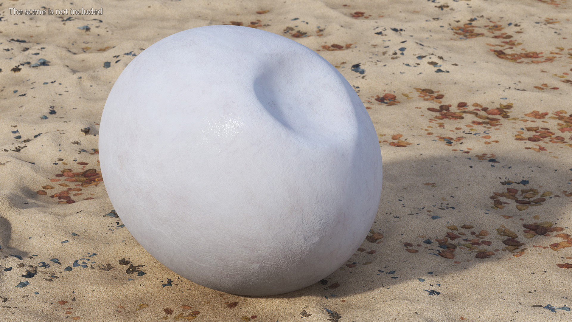 3D SeaTurtle Egg model