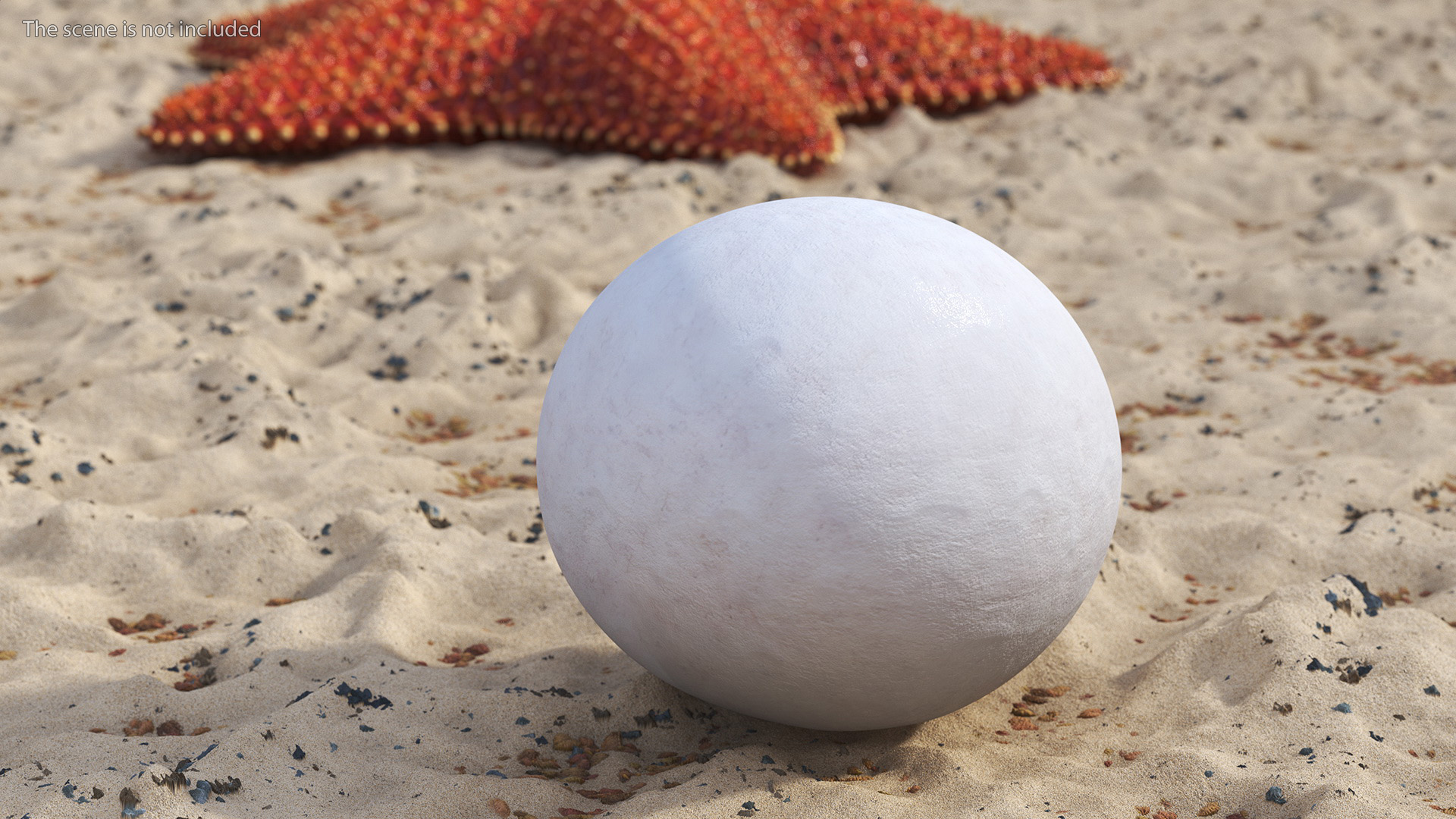 3D SeaTurtle Egg model