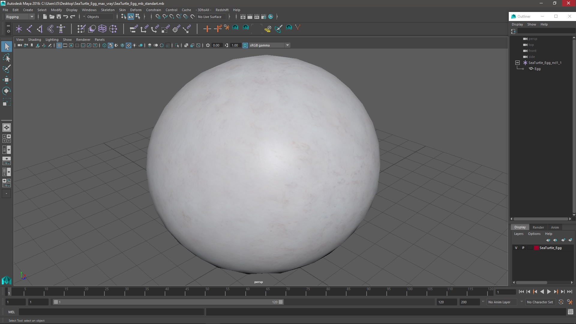 3D SeaTurtle Egg model