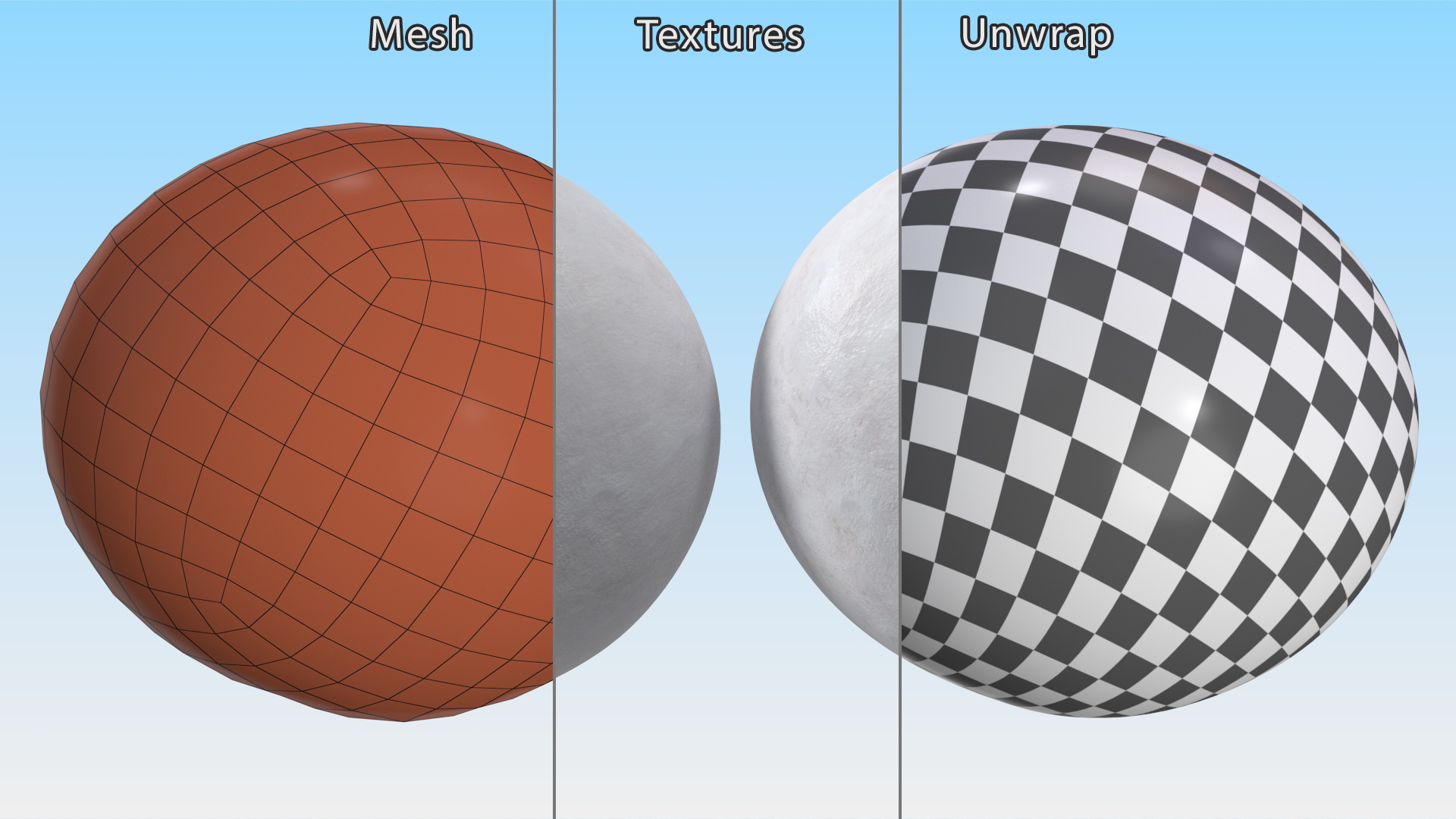 3D SeaTurtle Egg model