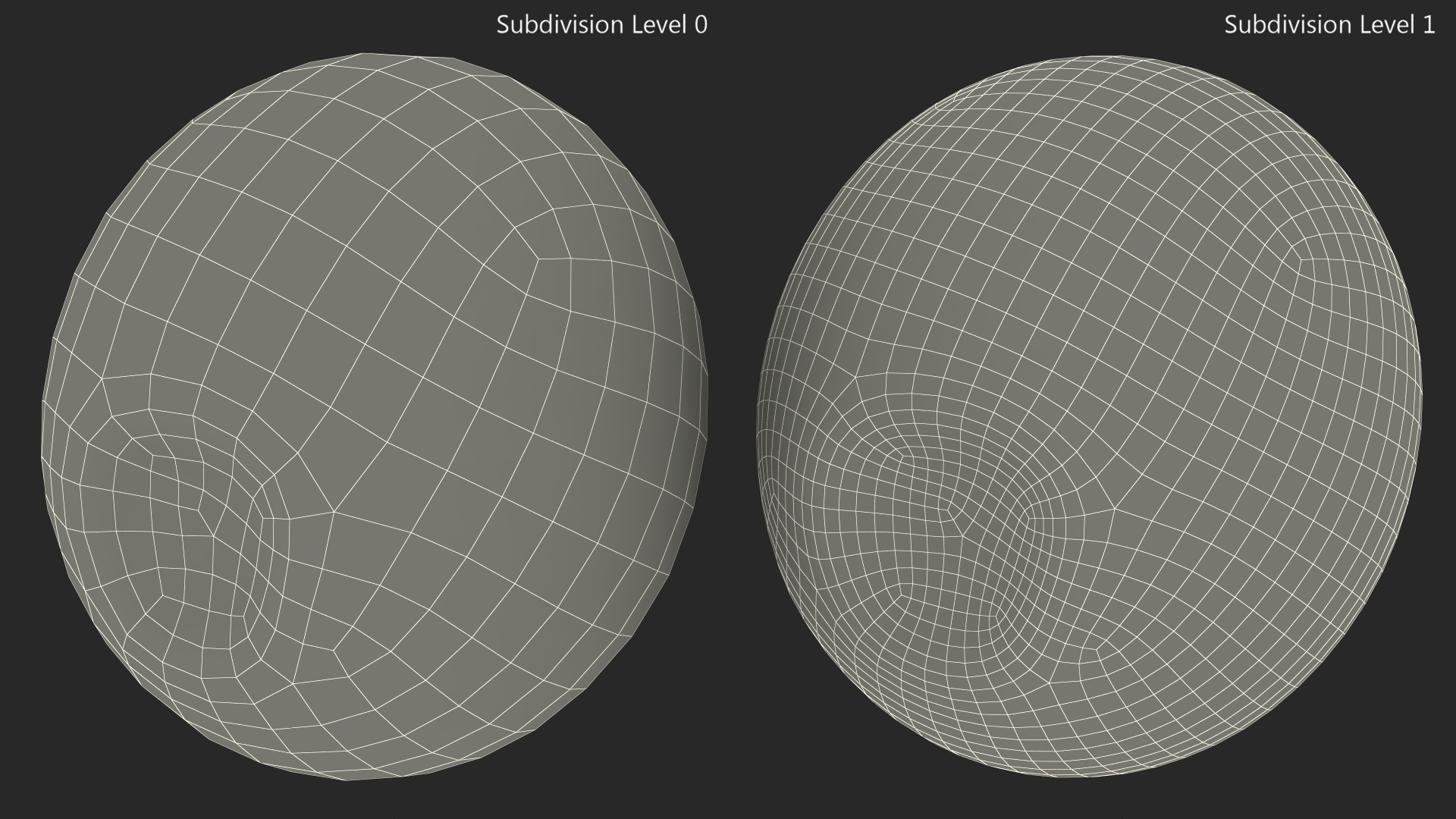 3D SeaTurtle Egg model