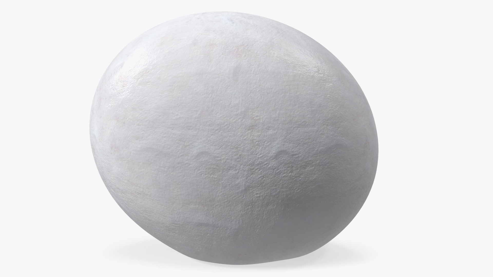 3D SeaTurtle Egg model
