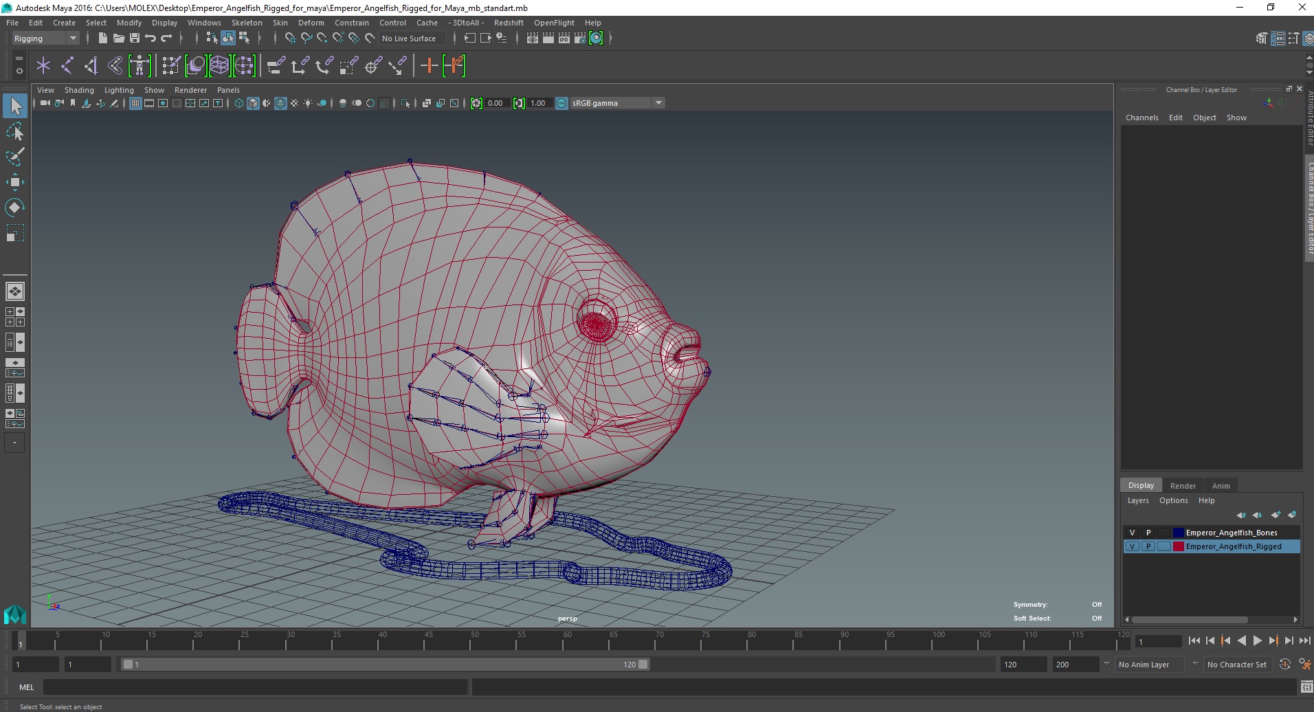 3D Emperor Angelfish Rigged for Maya model