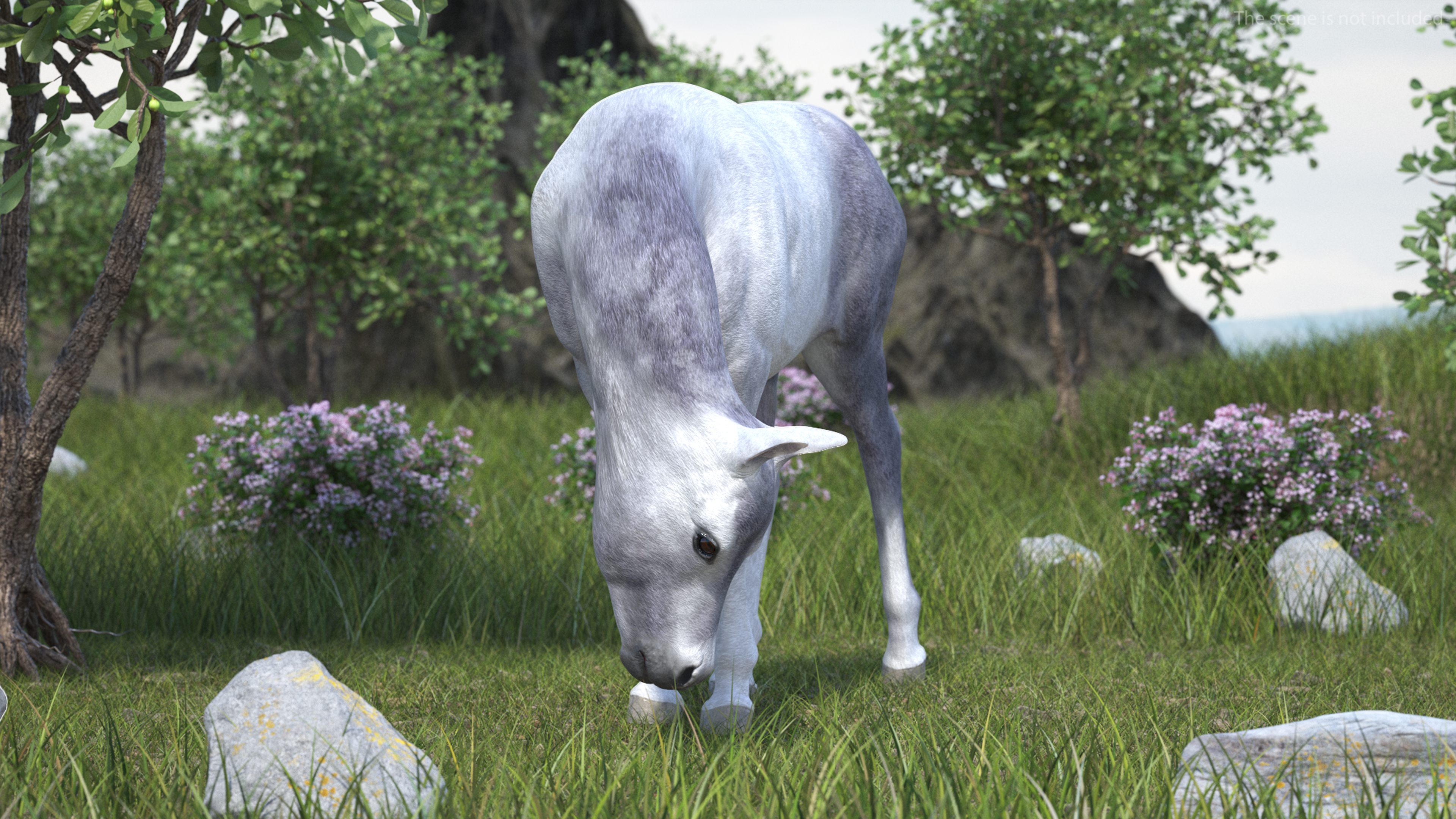 3D model Shetland Pony White Rigged for Cinema 4D
