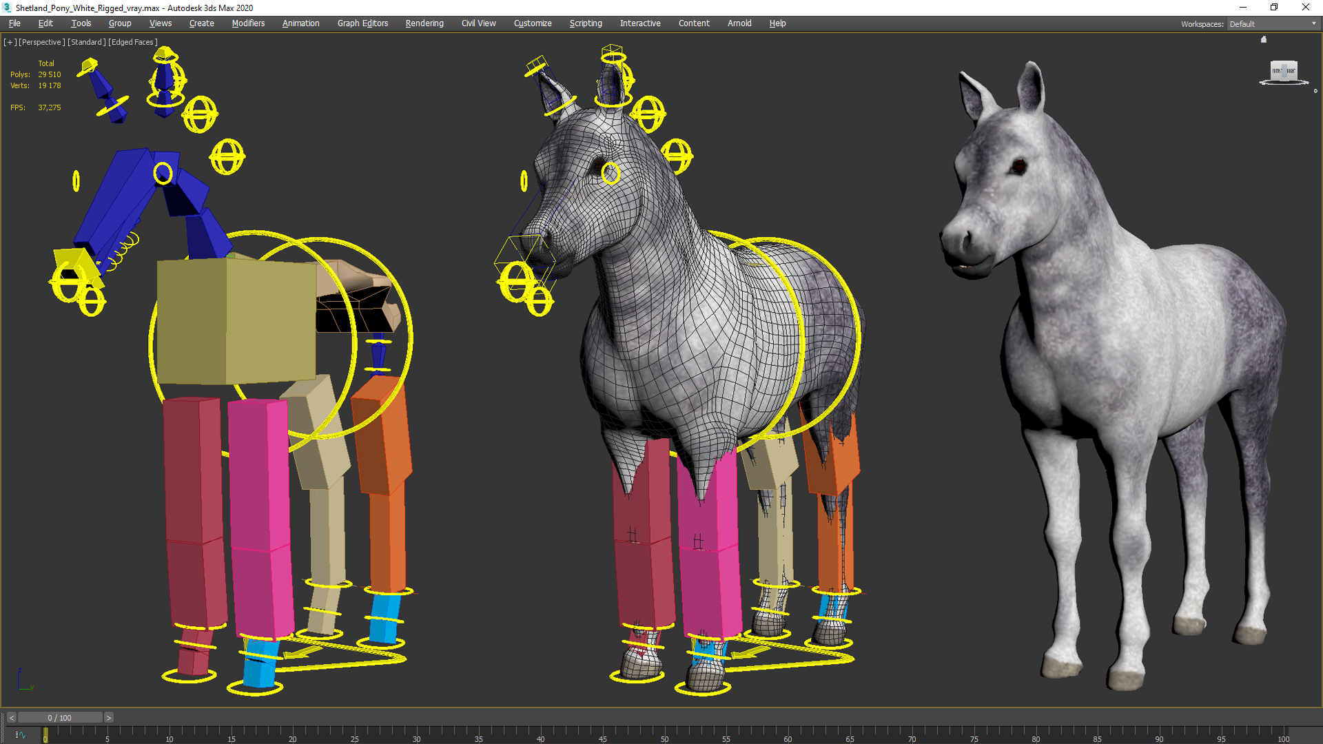 3D model Shetland Pony White Rigged for Cinema 4D