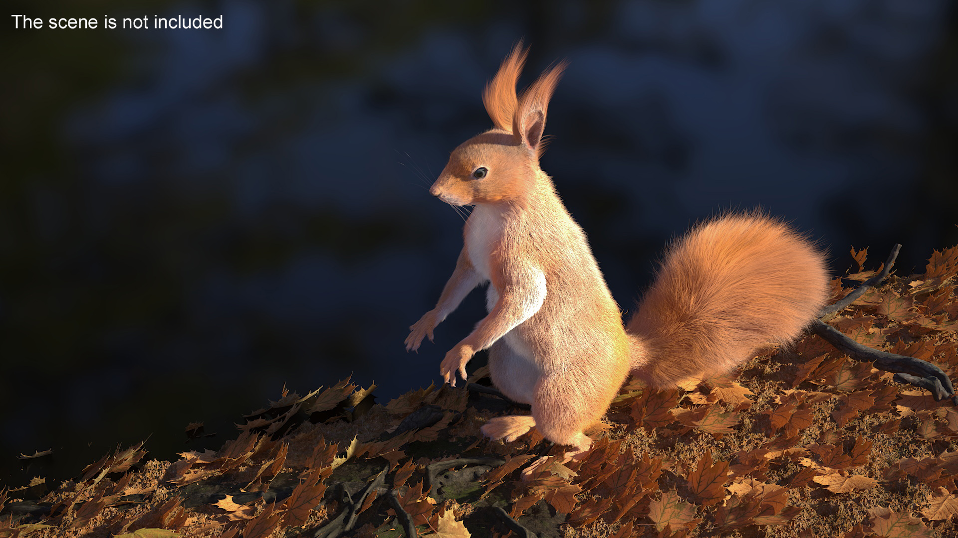 3D Red Squirrel in Standing Pose Fur model