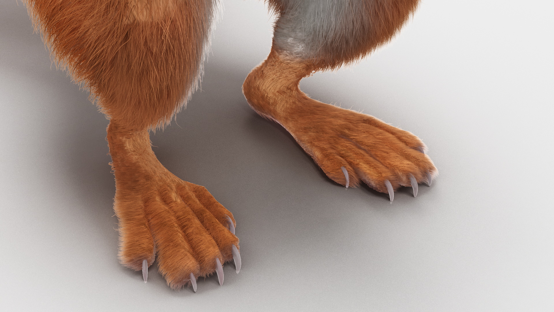3D Red Squirrel in Standing Pose Fur model