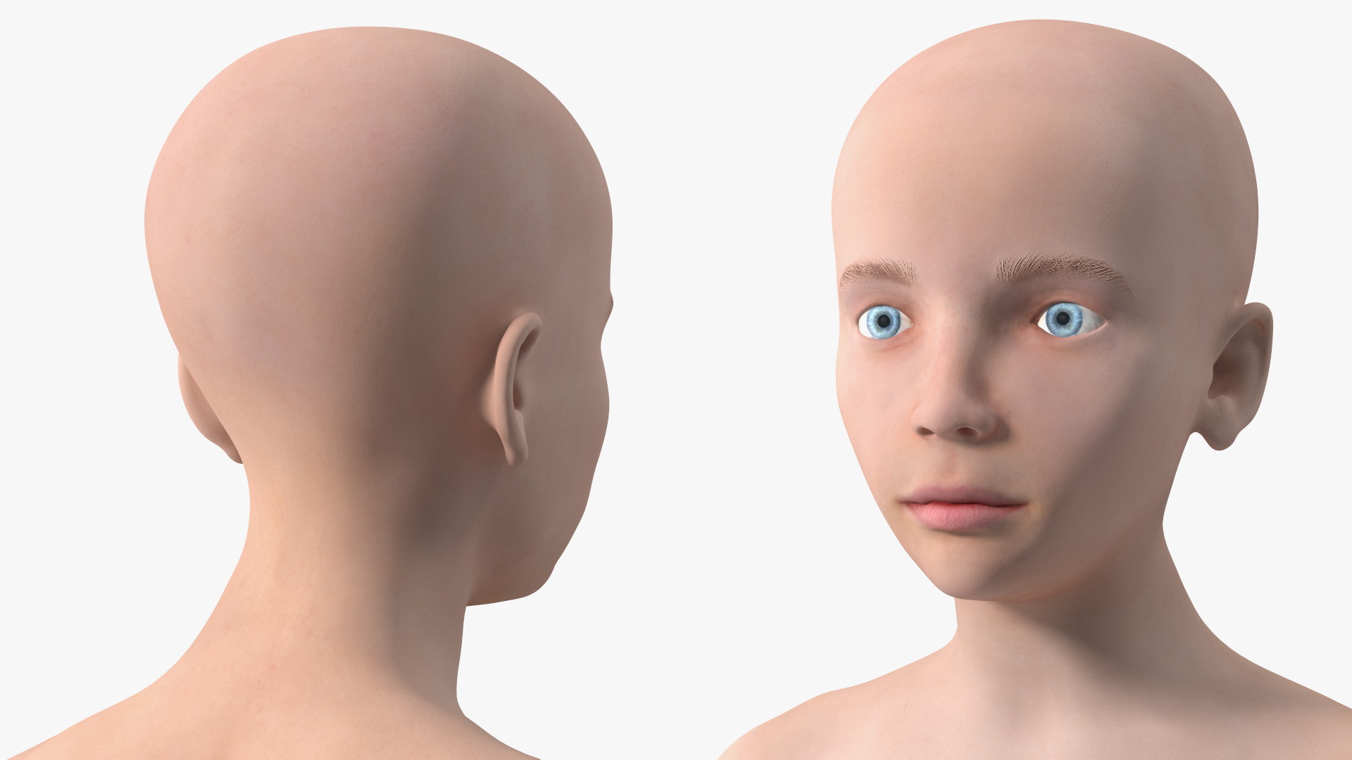 3D Full Body Kid Girl Anatomy