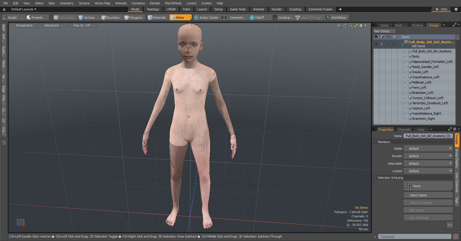 3D Full Body Kid Girl Anatomy