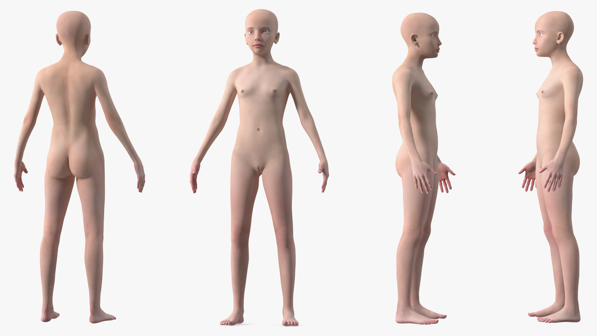 3D Full Body Kid Girl Anatomy