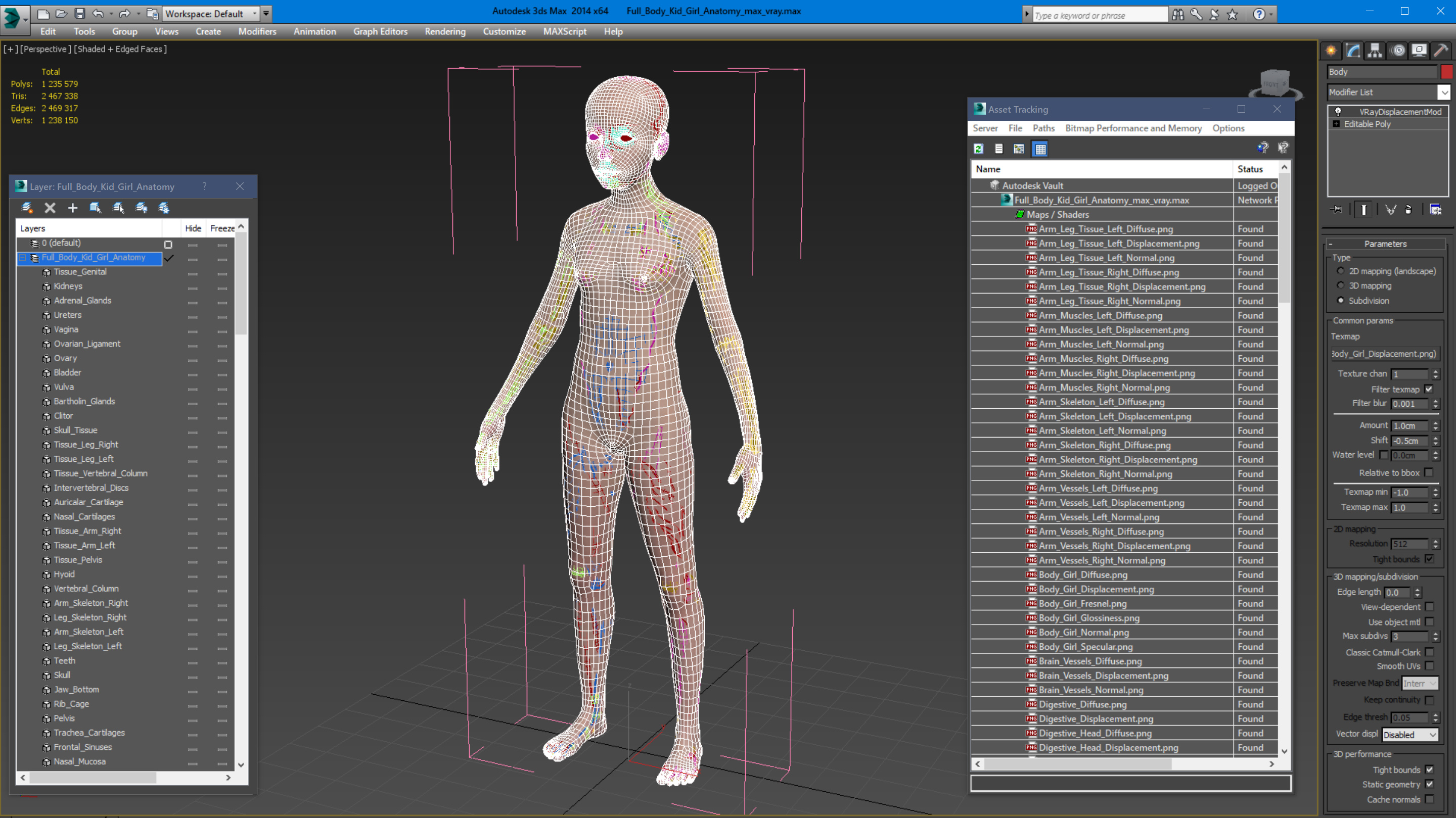 3D Full Body Kid Girl Anatomy