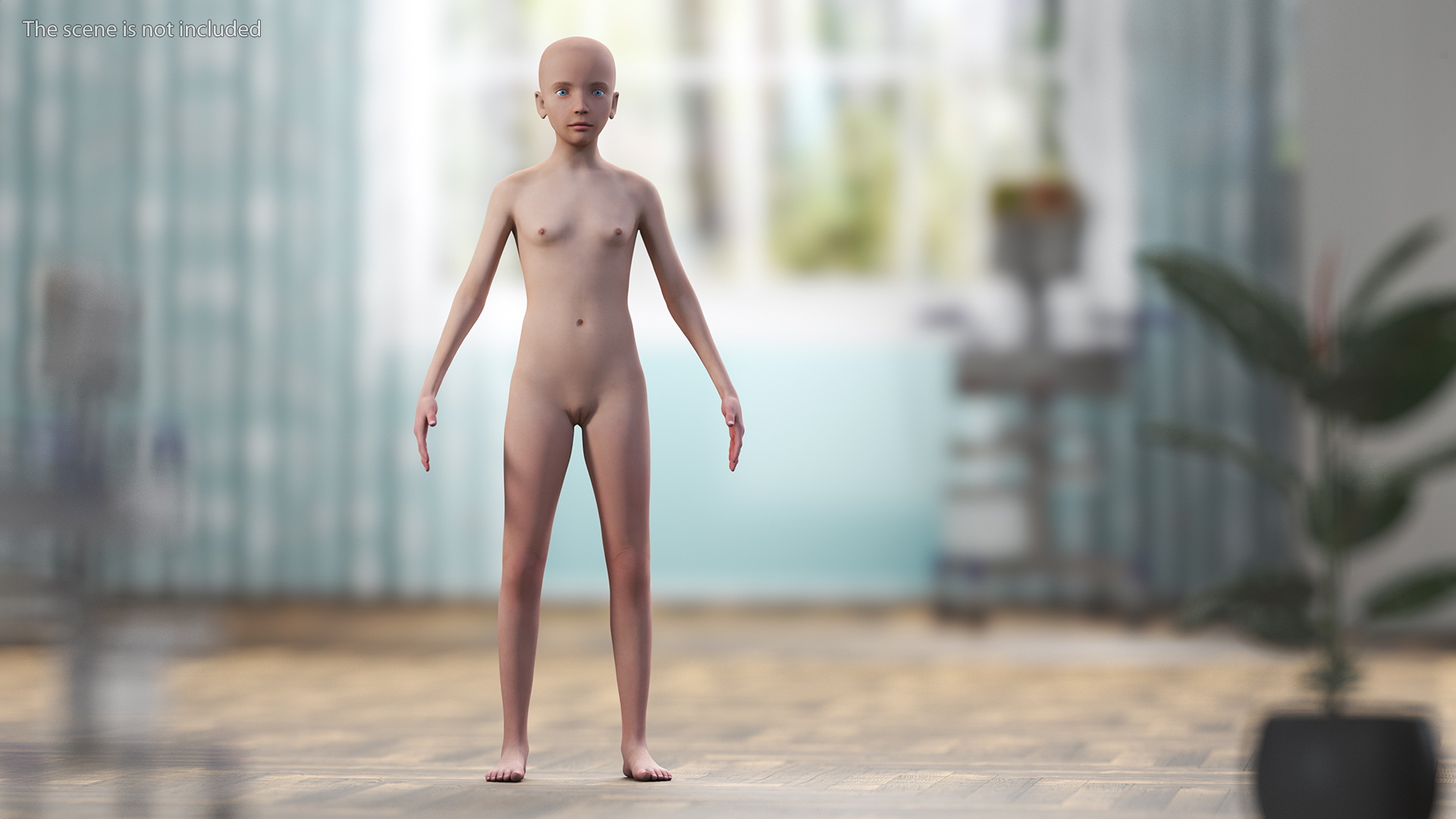 3D Full Body Kid Girl Anatomy