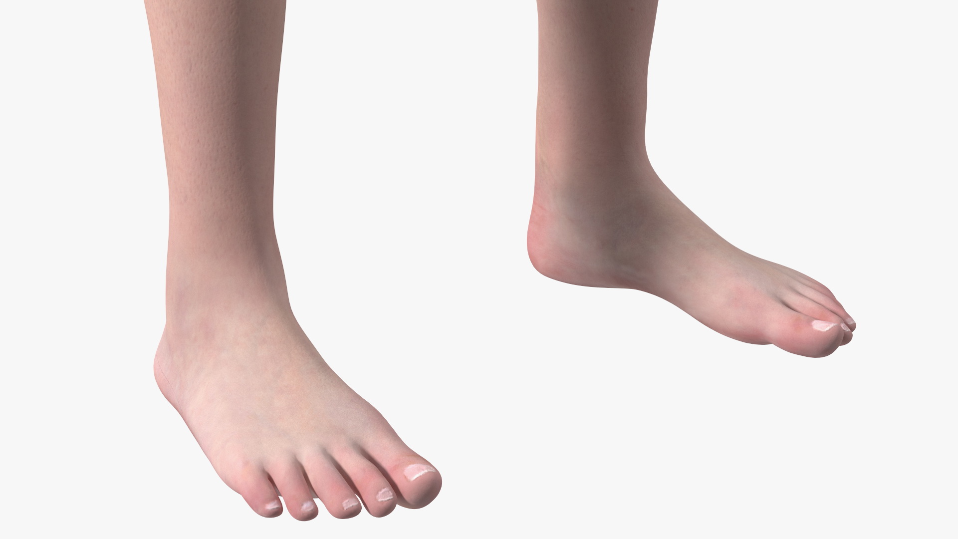 3D Full Body Kid Girl Anatomy