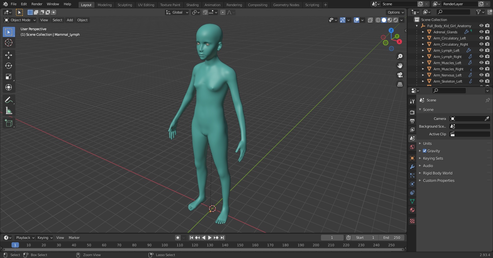 3D Full Body Kid Girl Anatomy