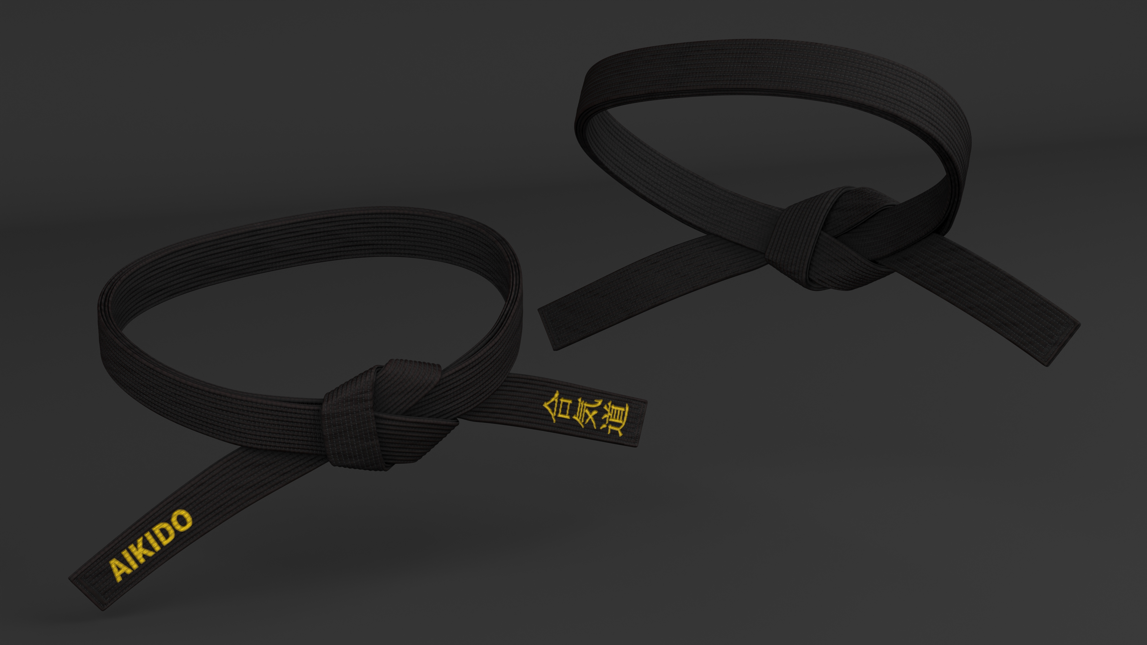 Aikido Black Waist Obi Belt 3D