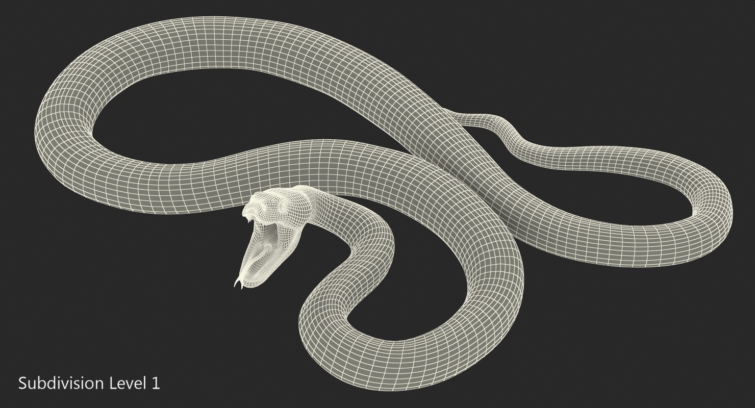 Brown Python Snake Rigged for Maya 3D model