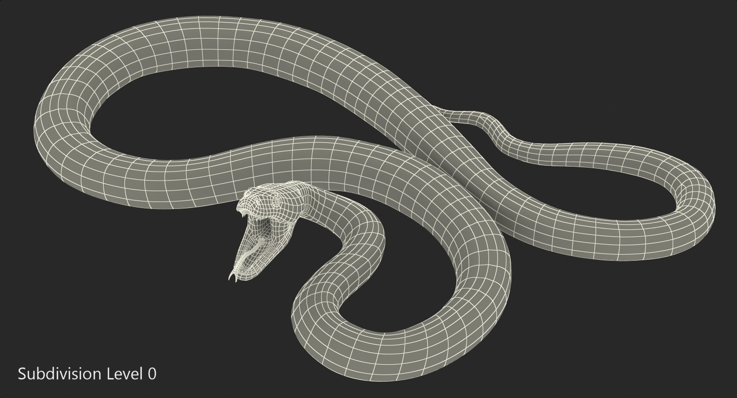 Brown Python Snake Rigged for Maya 3D model