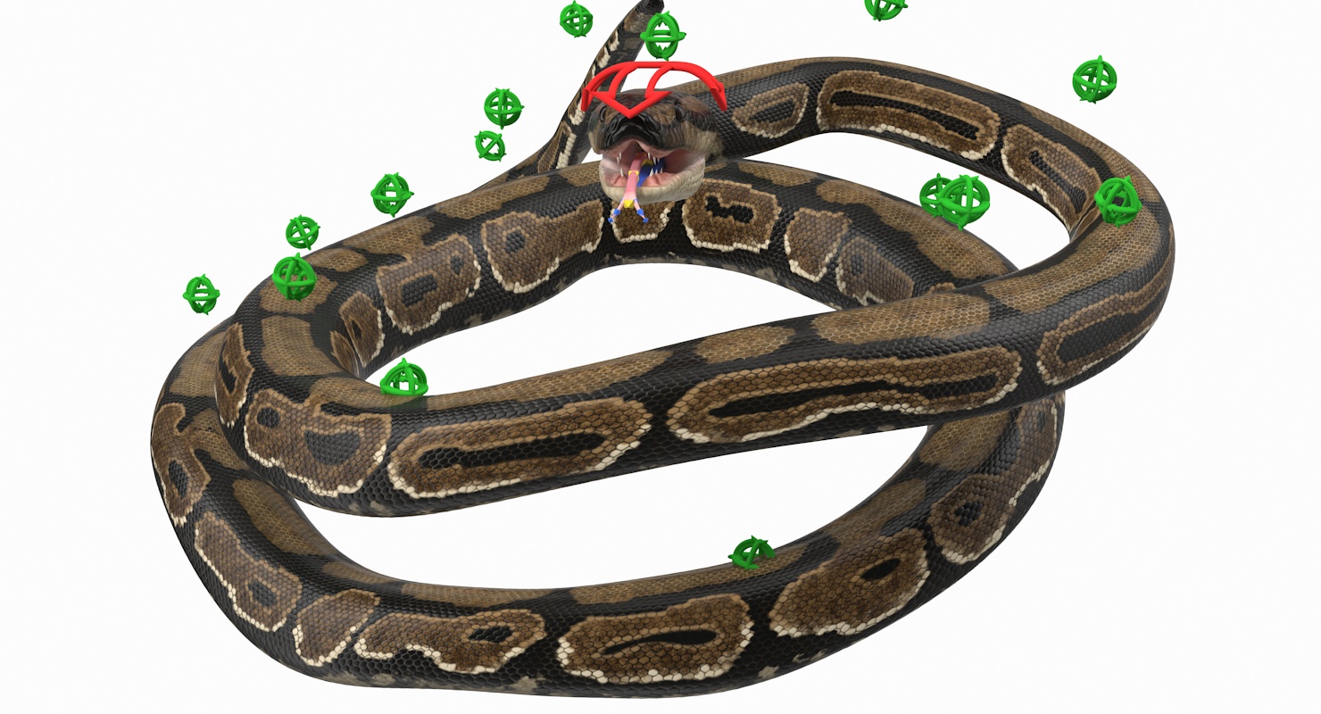 Brown Python Snake Rigged for Maya 3D model