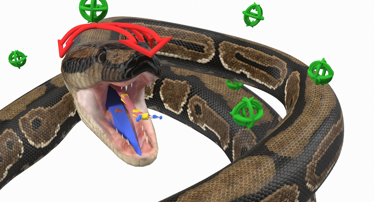 Brown Python Snake Rigged for Maya 3D model