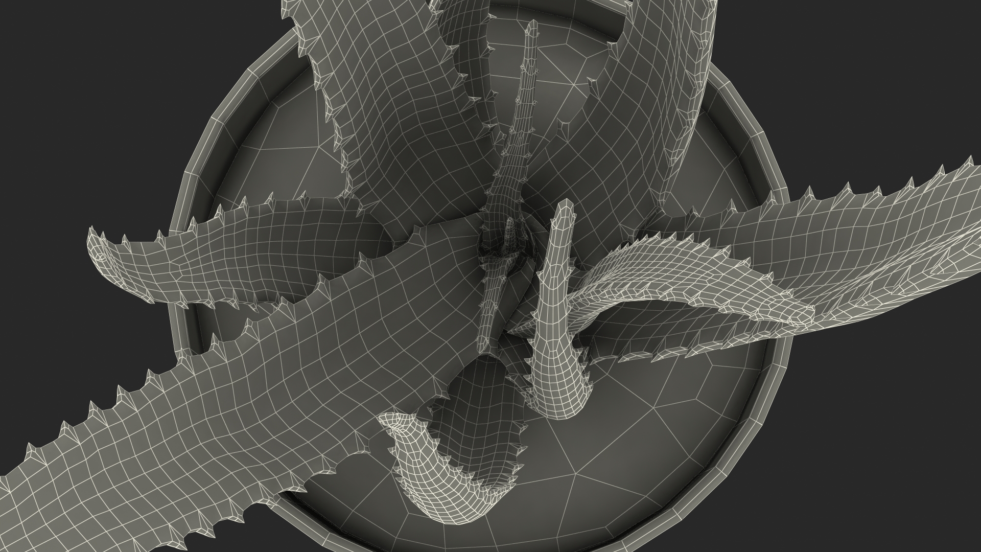Aloe Pot Plant 3D model