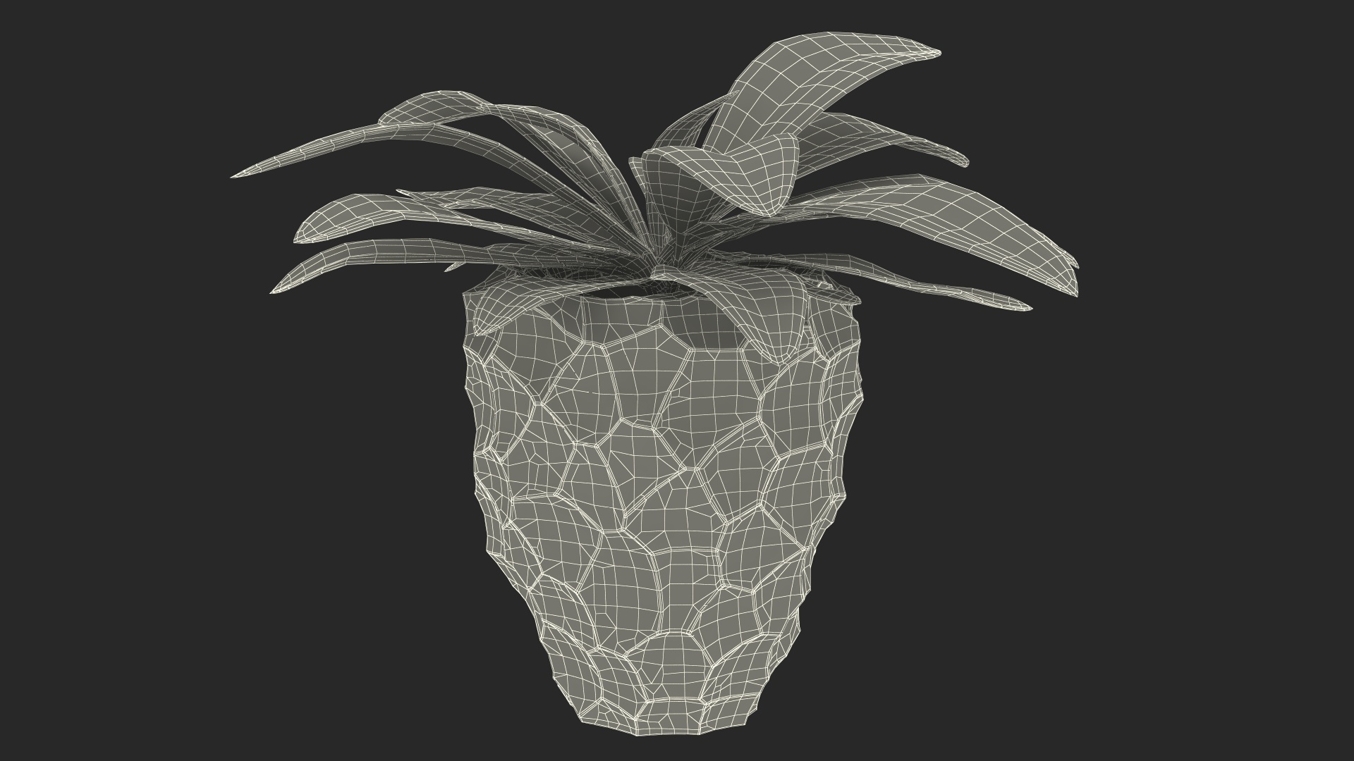 Cordyline Glauca in Modern Flower Pot 3D