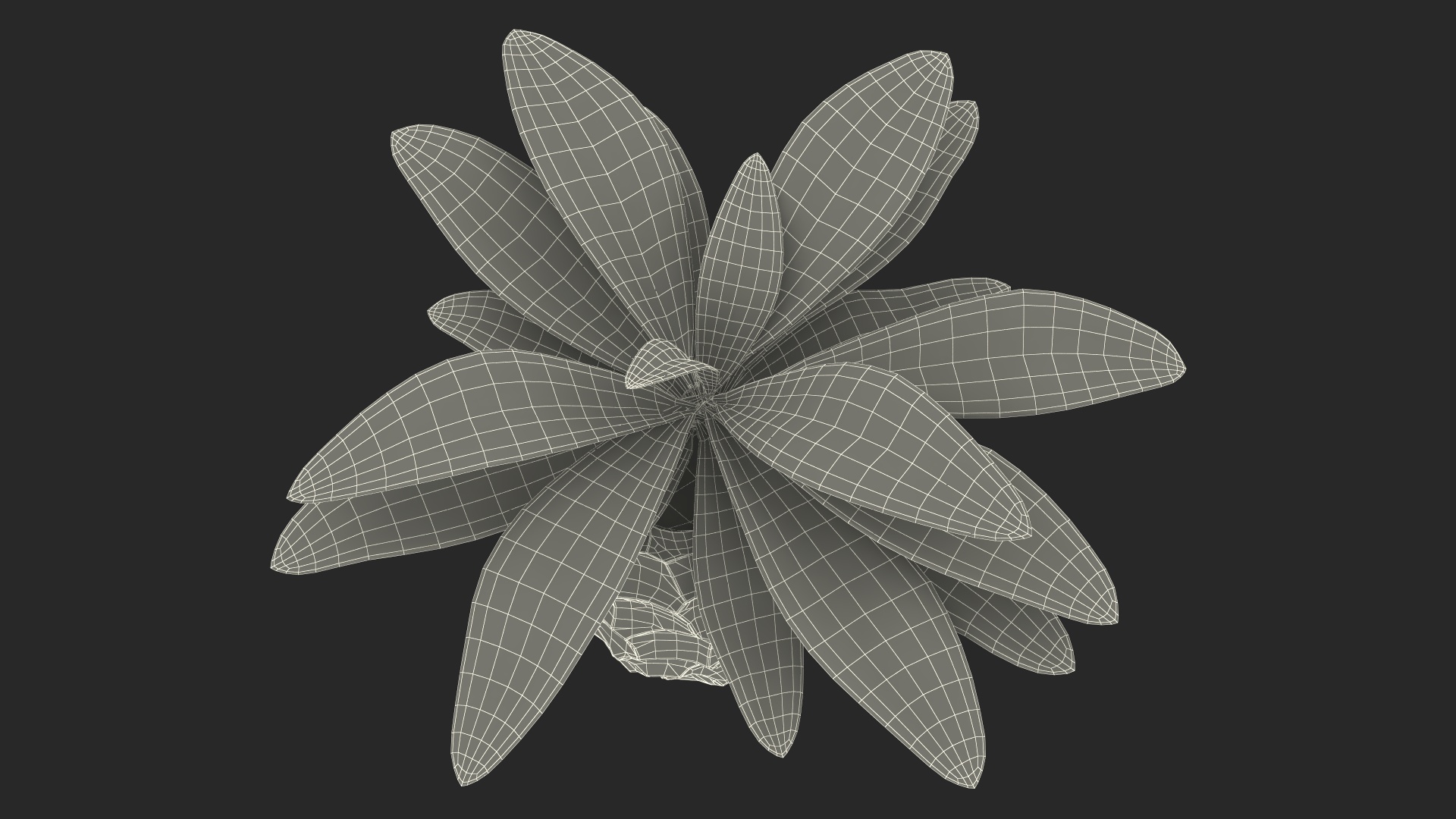 Cordyline Glauca in Modern Flower Pot 3D