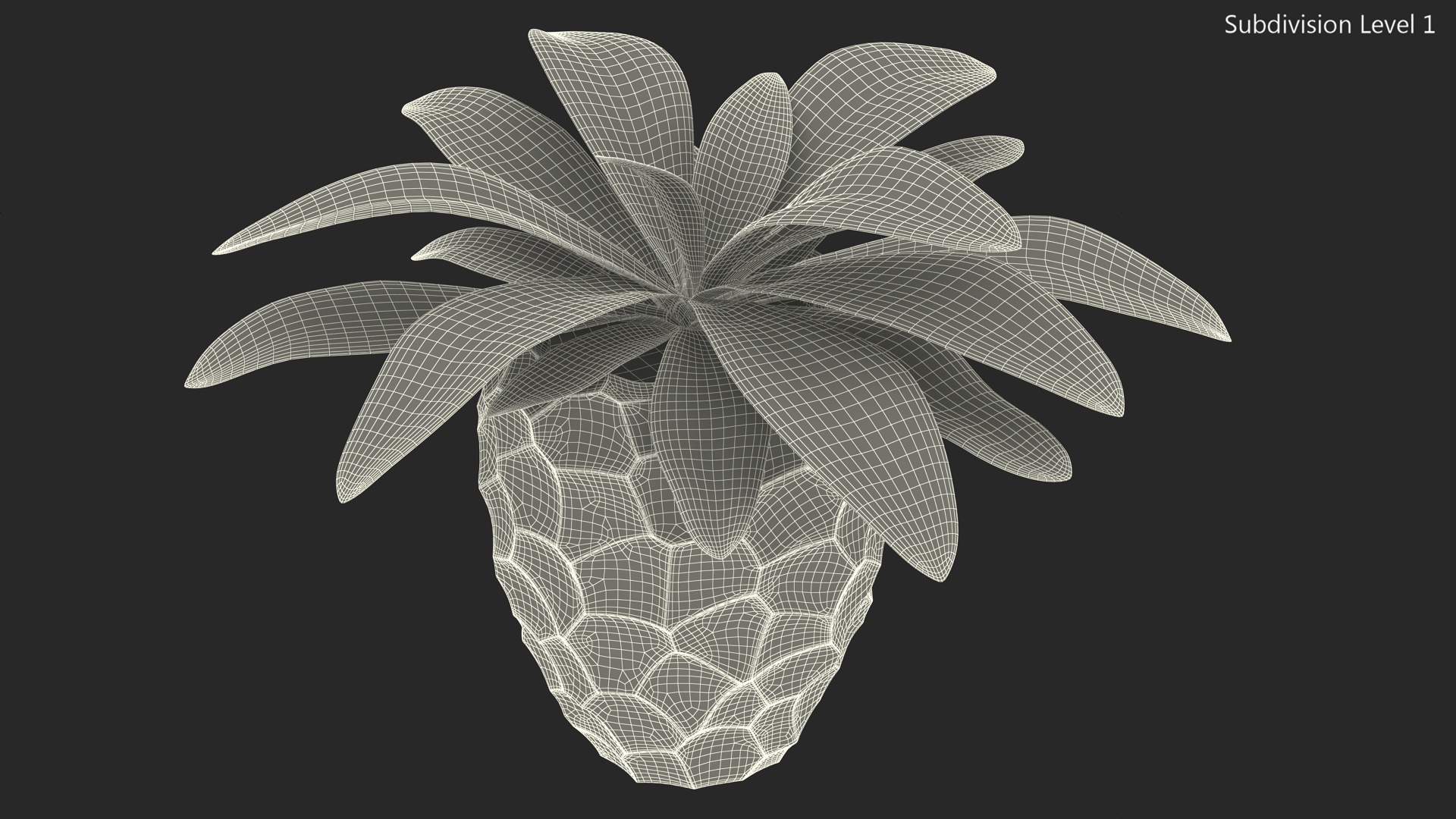 Cordyline Glauca in Modern Flower Pot 3D