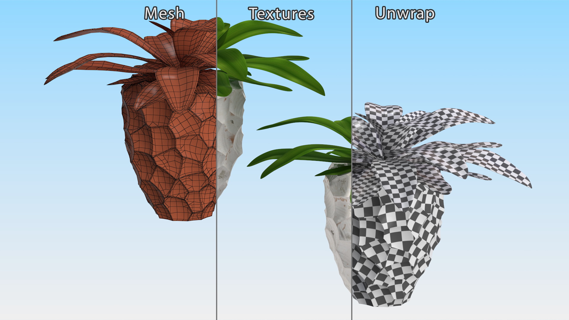 Cordyline Glauca in Modern Flower Pot 3D