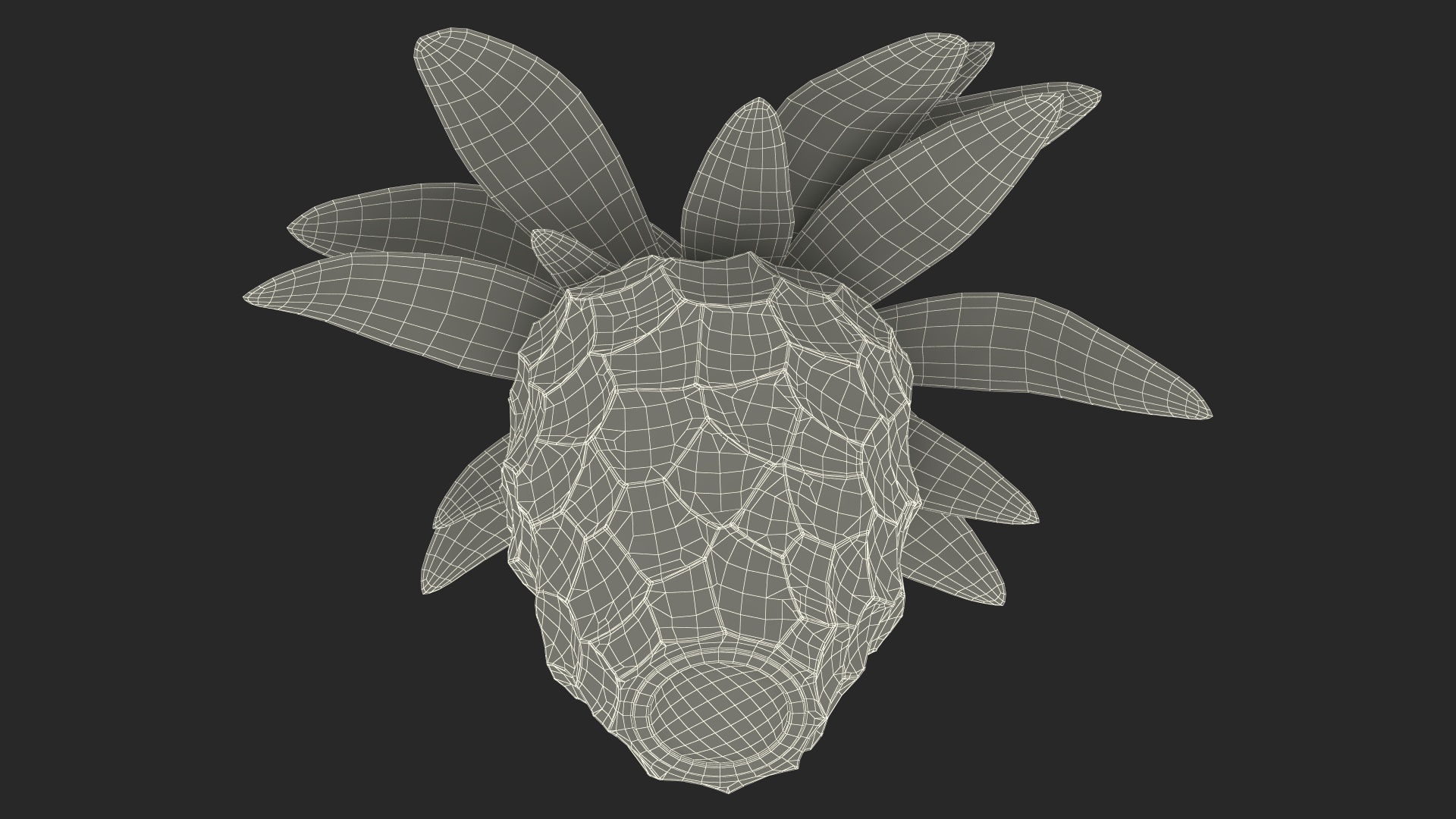 Cordyline Glauca in Modern Flower Pot 3D