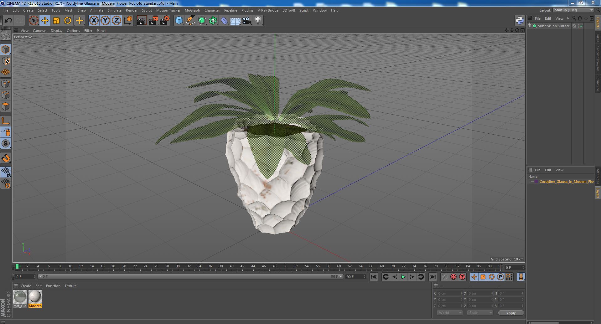 Cordyline Glauca in Modern Flower Pot 3D