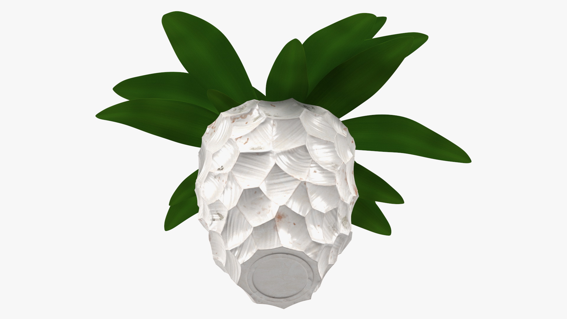 Cordyline Glauca in Modern Flower Pot 3D