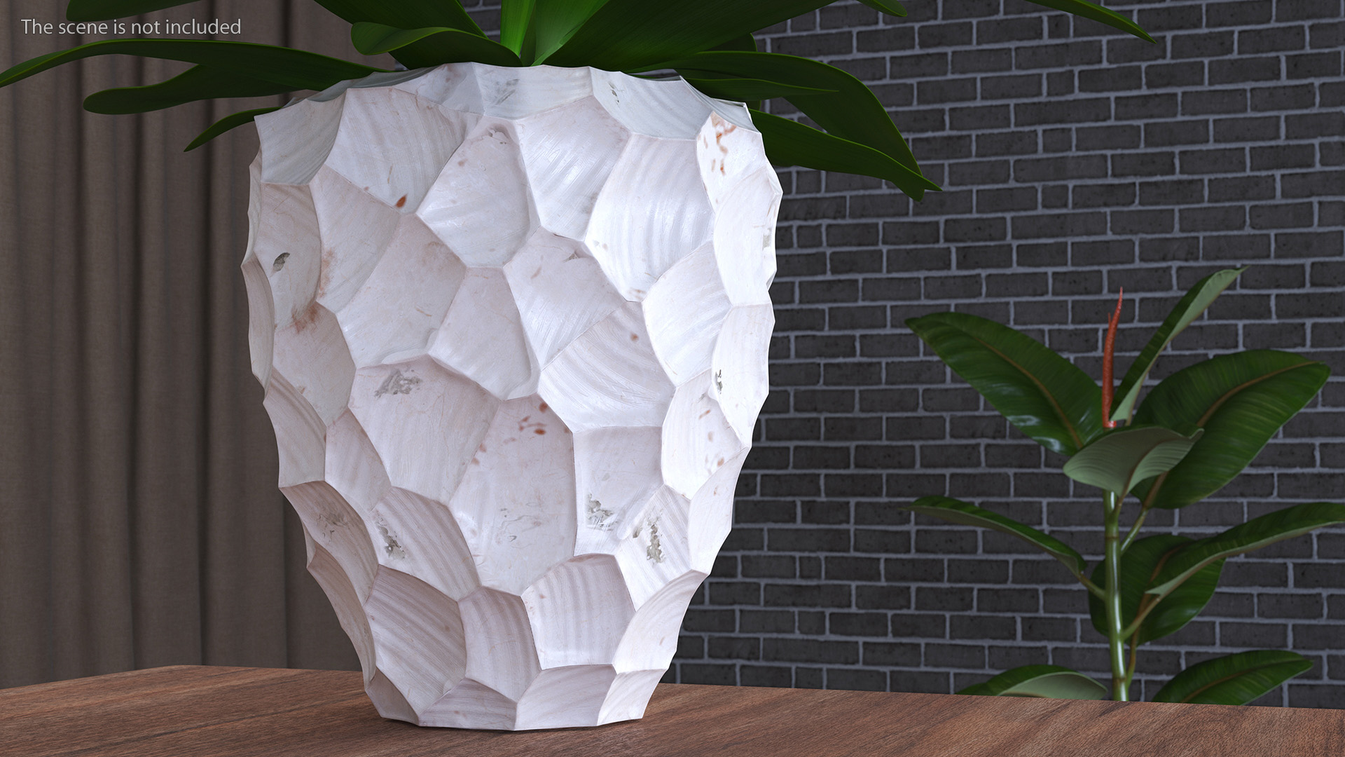 Cordyline Glauca in Modern Flower Pot 3D