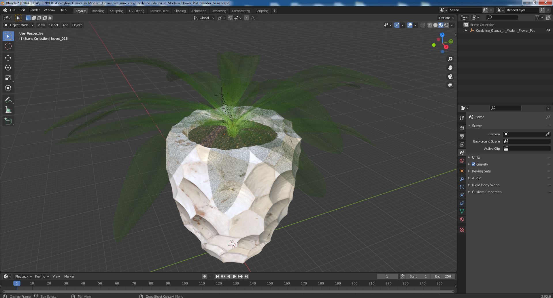 Cordyline Glauca in Modern Flower Pot 3D