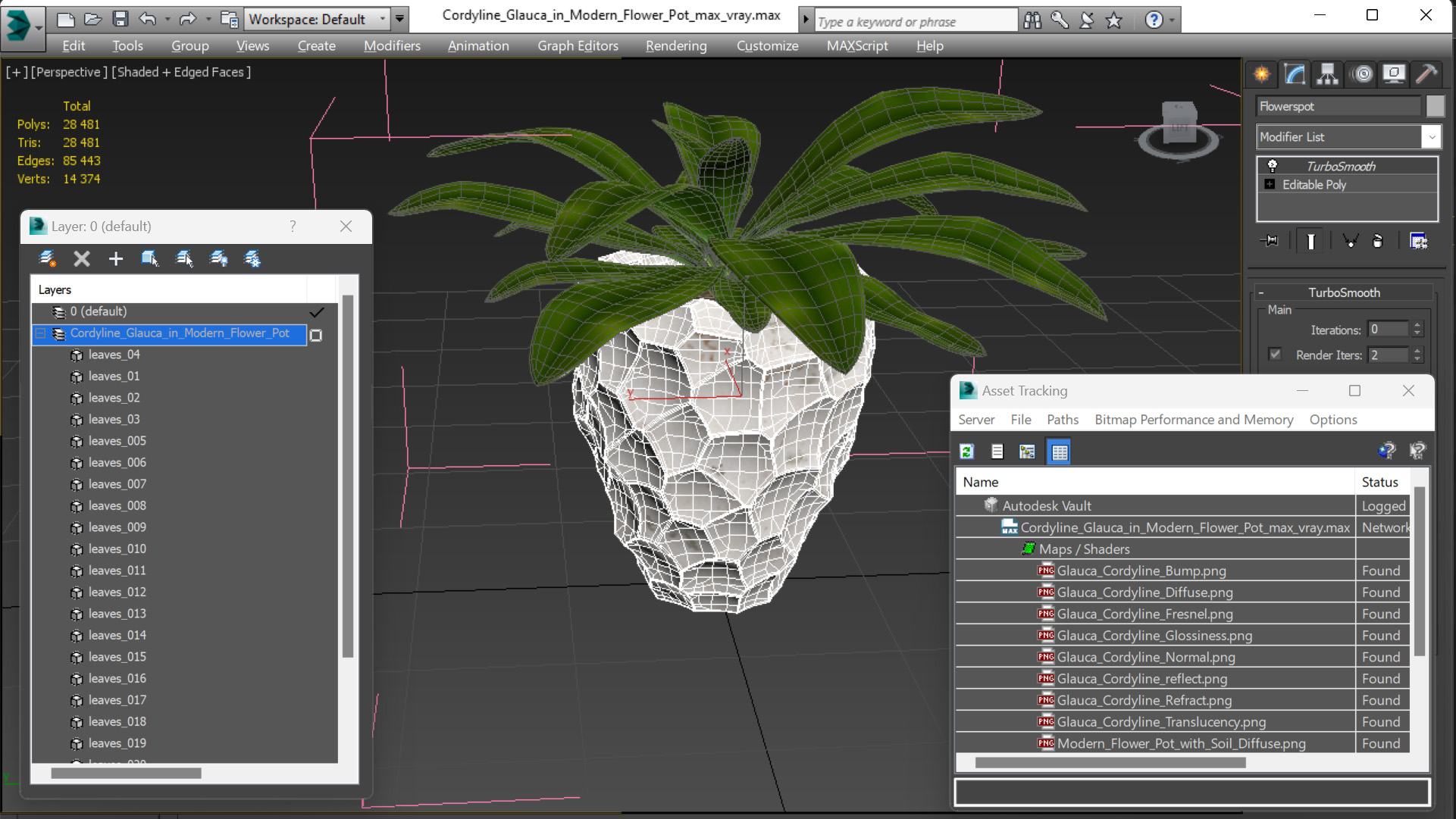 Cordyline Glauca in Modern Flower Pot 3D