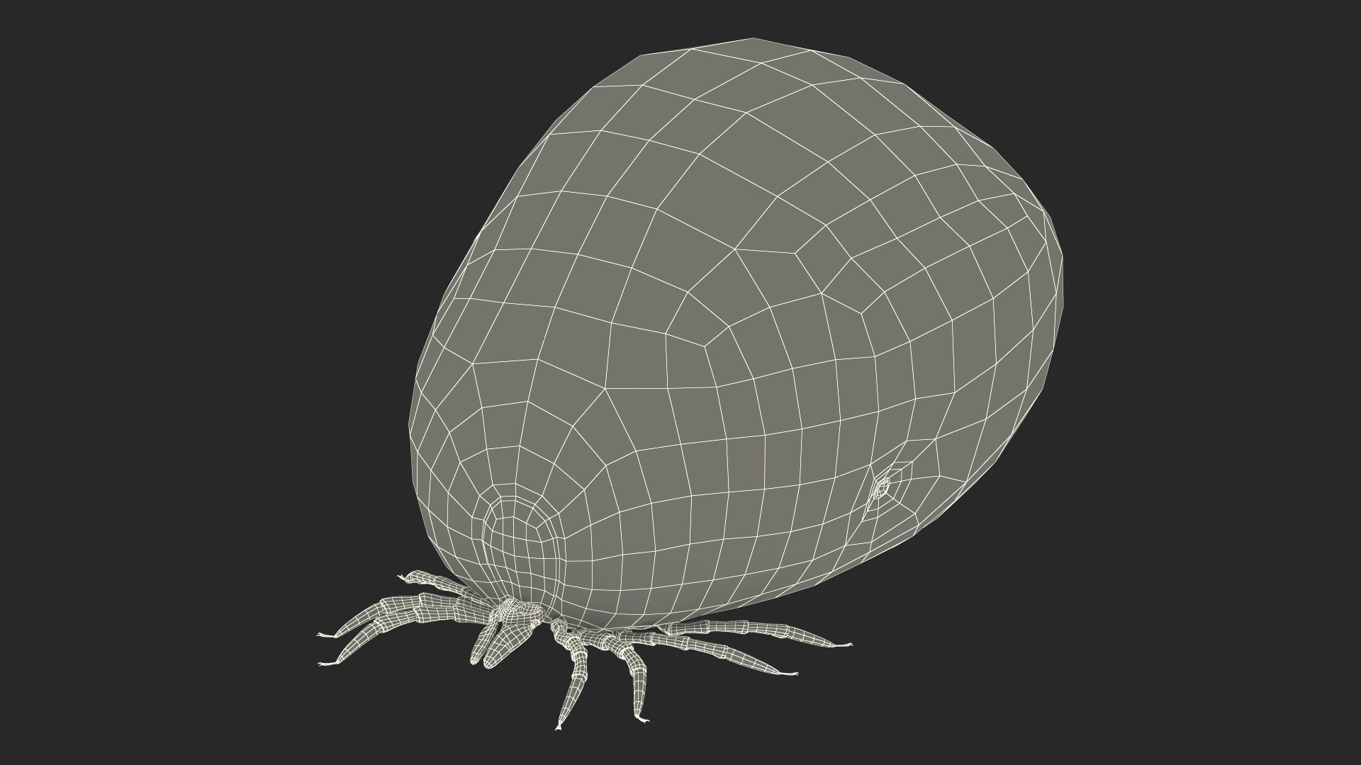 3D Distended Tick Rigged