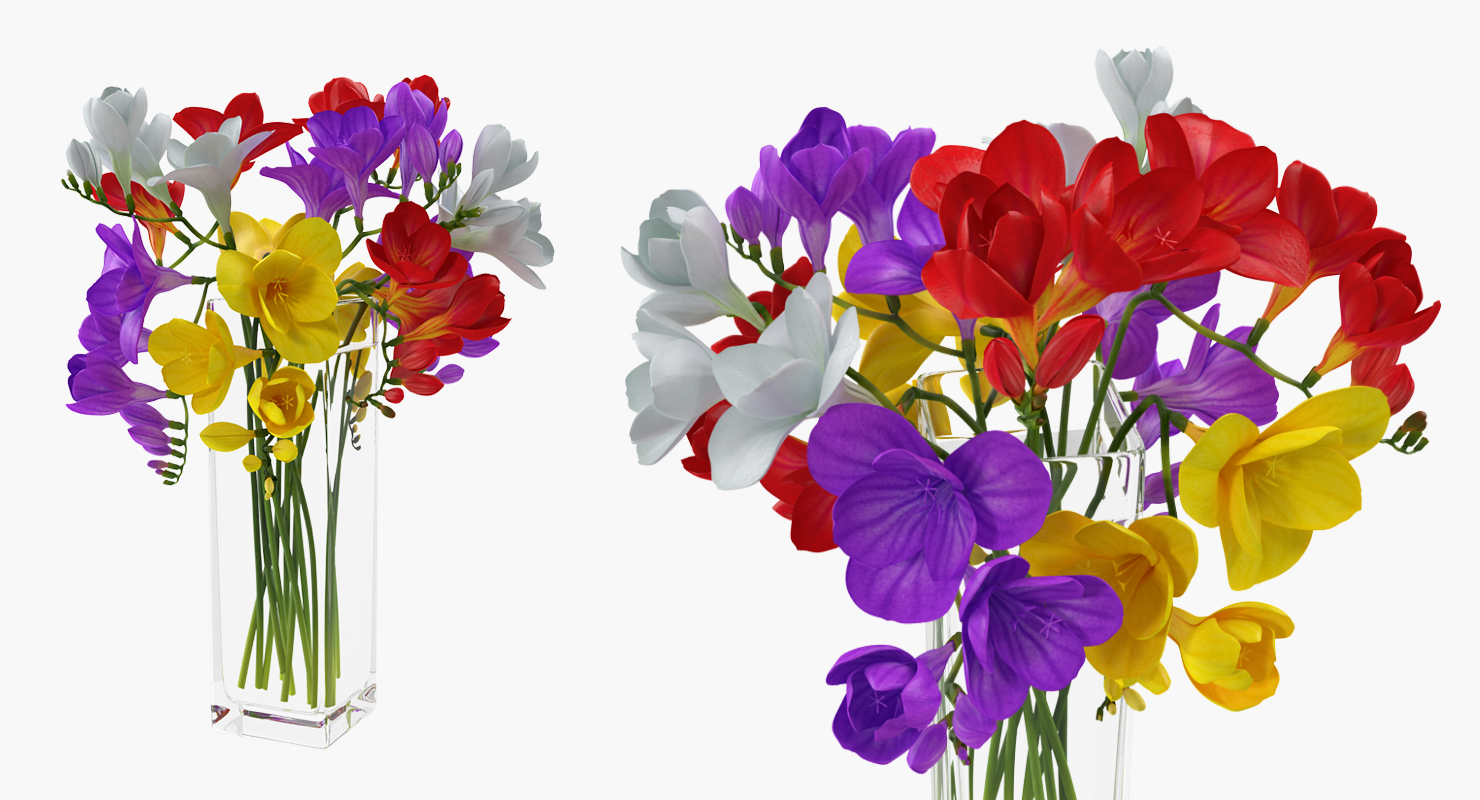 3D Freesia Flowers Bouquet in Vase